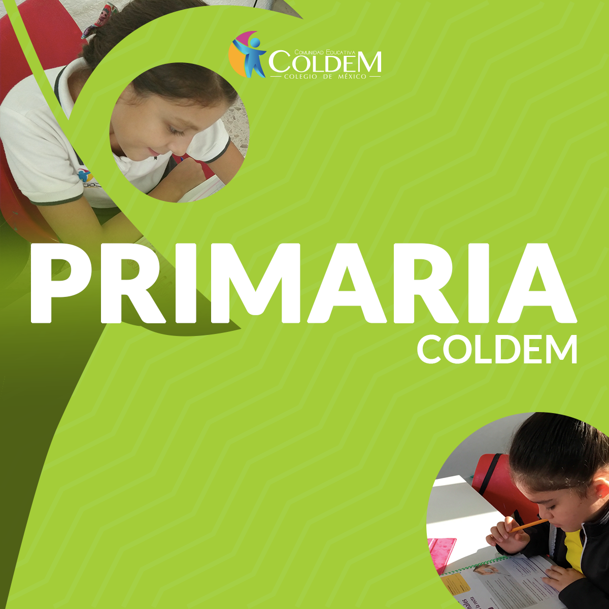 Nuestro principal propósito es... - Coldem, Colegio de México
