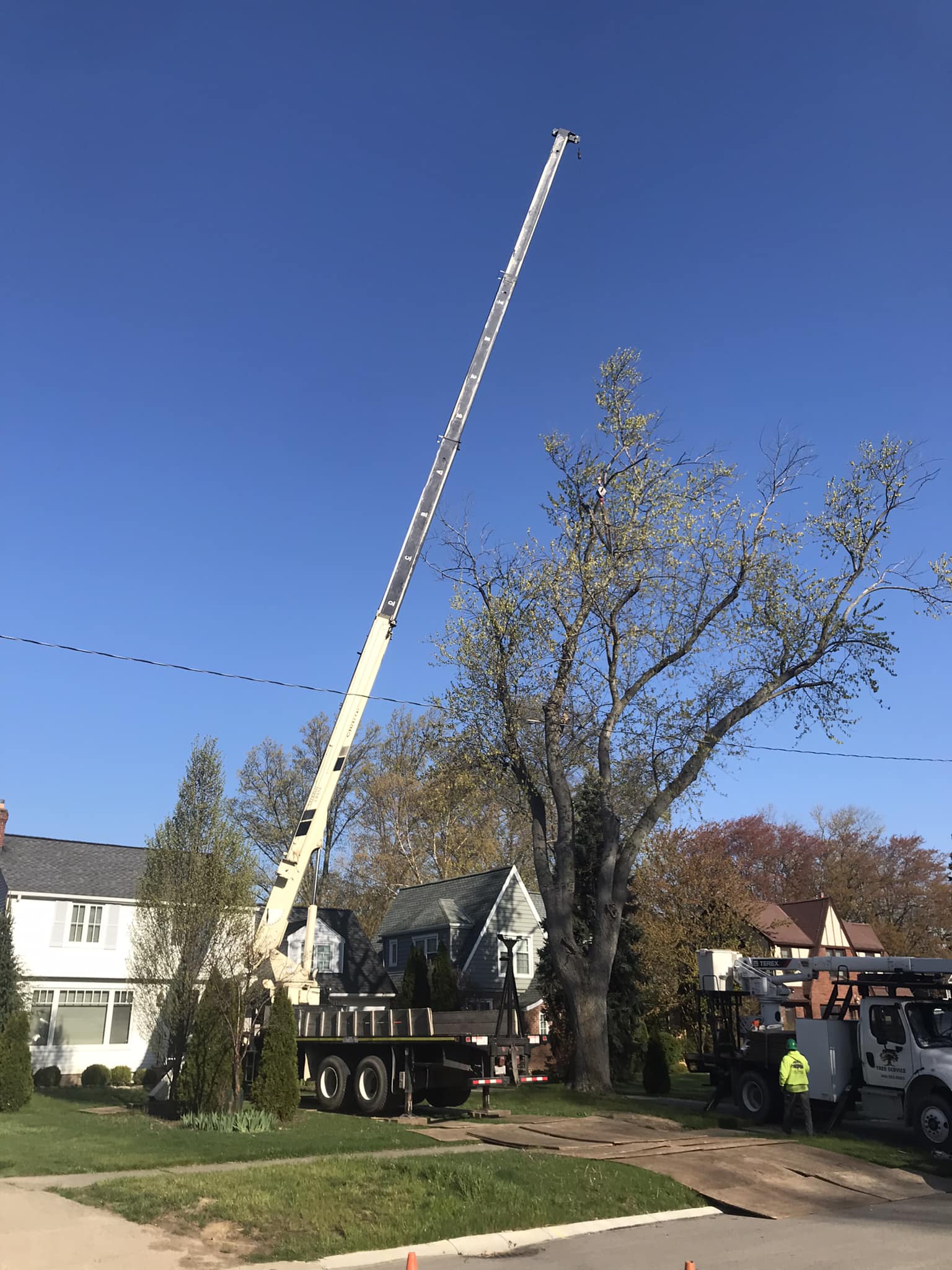 Wilson Tree Service | North Ridgeville OH