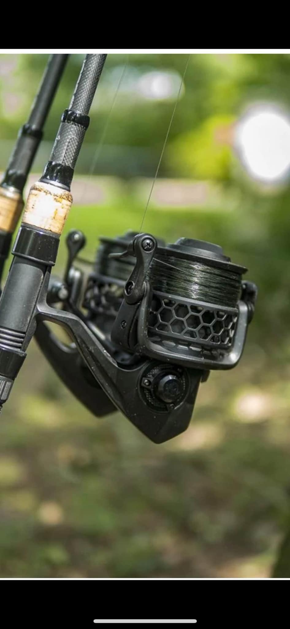 best rod and reel for saltwater tarpon Brute Force – Bull Bay Tackle Company Size:H7/0 (77 mm) 4 pc and a Fuji exposed ocean-inspired jewelry Harry Potter Milk Chocolate