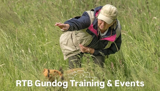 Working and Sport Dogs, Training UK | Facebook