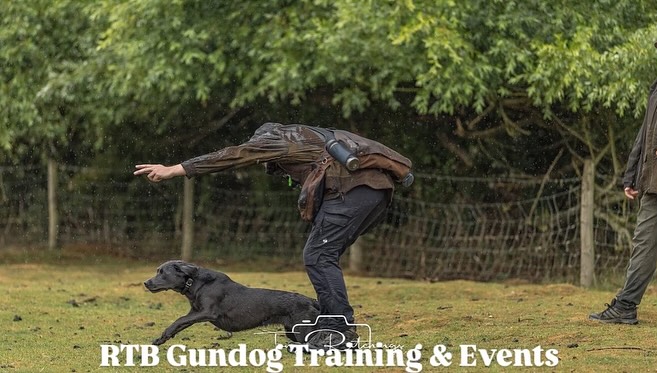Working and Sport Dogs, Training UK | Facebook