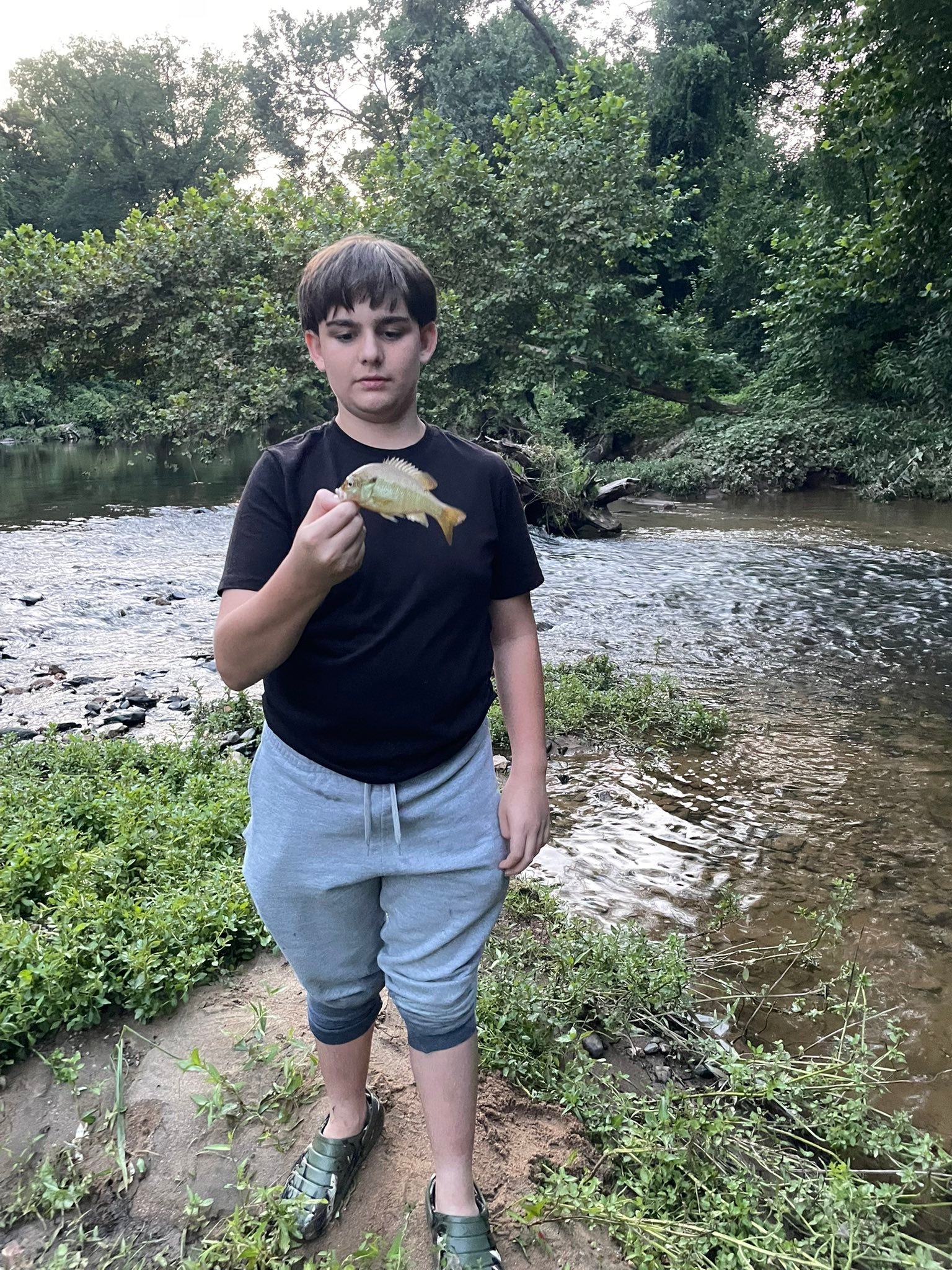 Creek fishing in Maryland backroads