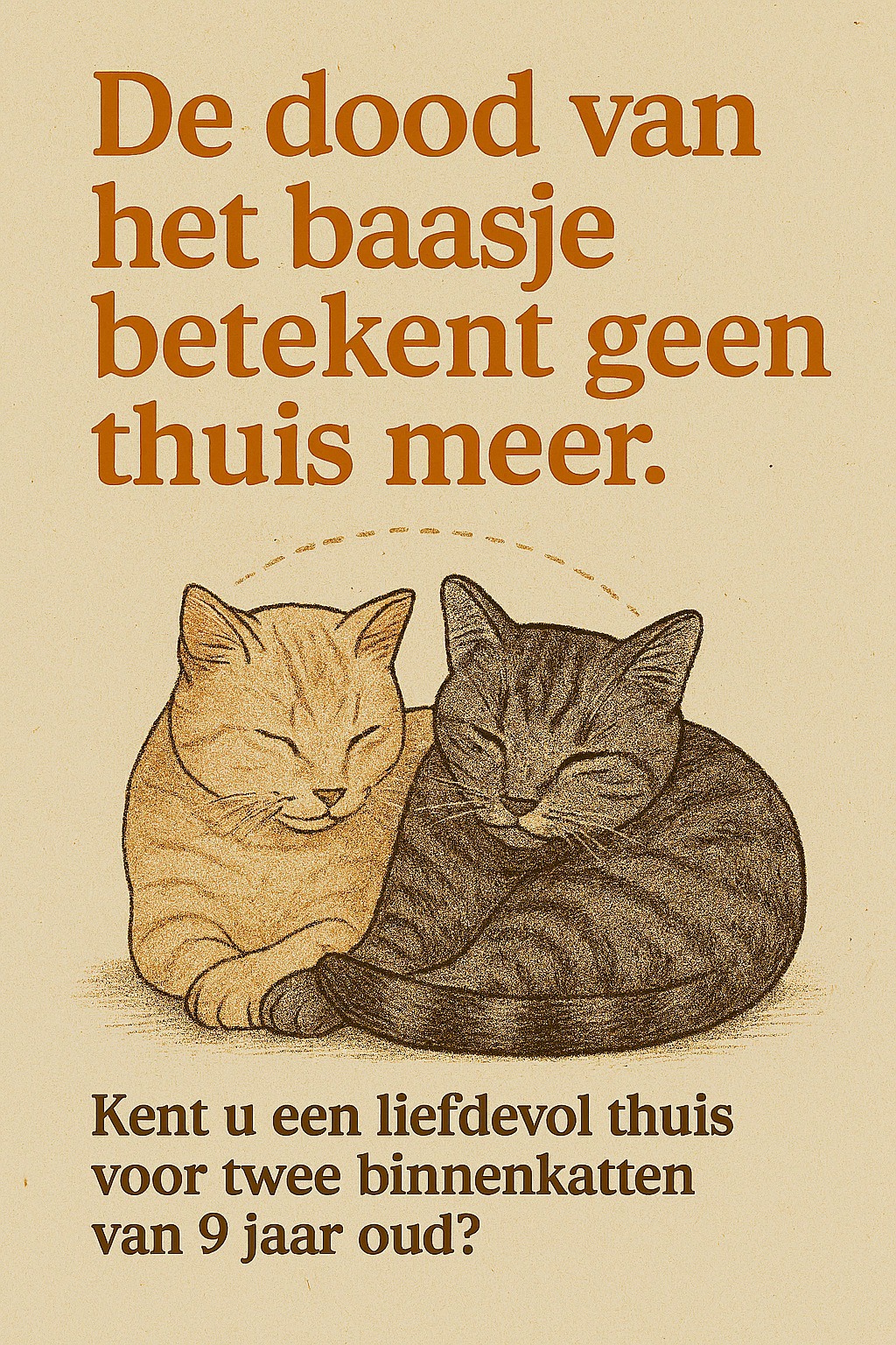 jo-twee-binnenkatten-zoeken-een-warm-thuis-door-het-overlijden-van