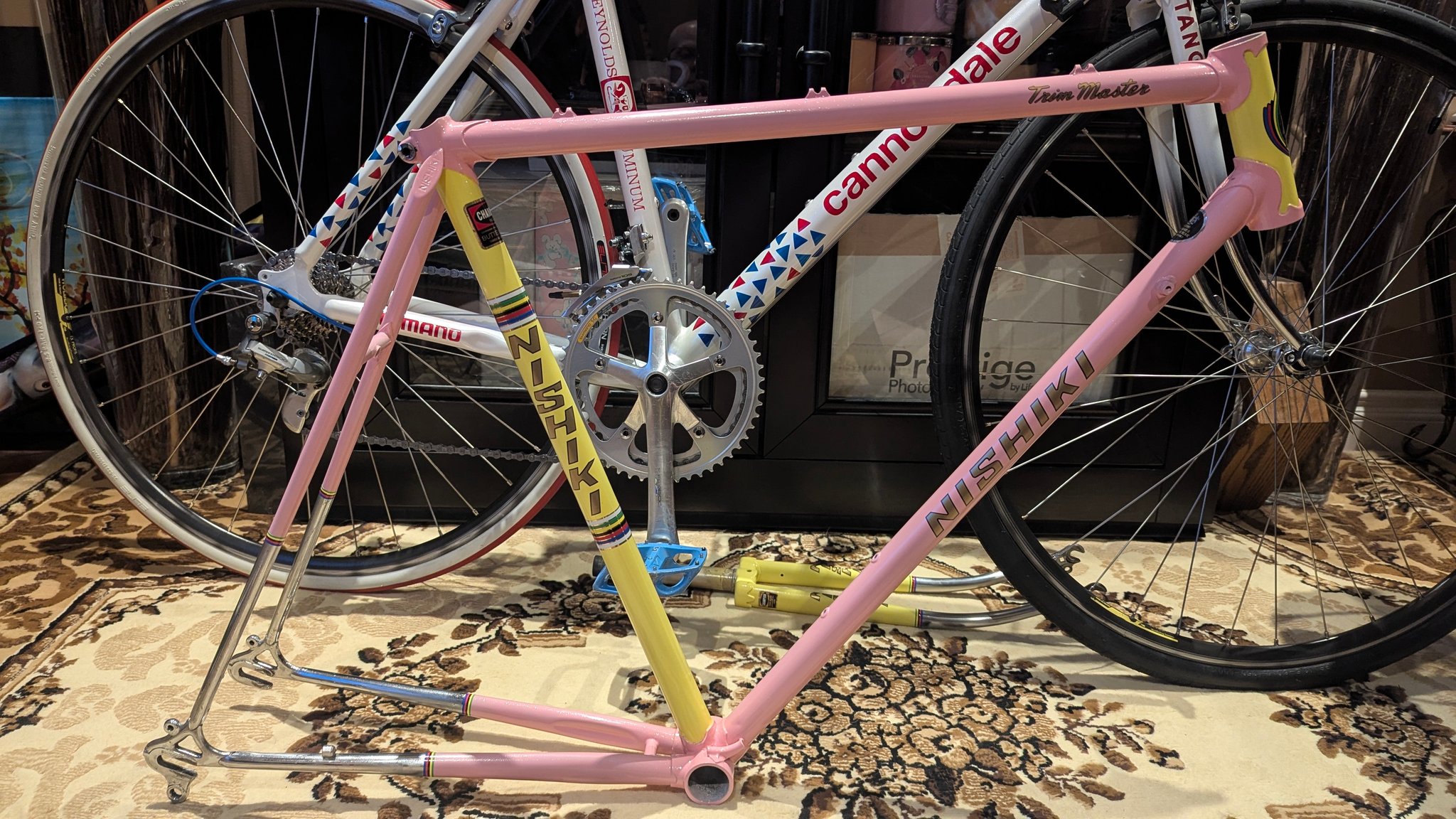 1981 Nishiki Trim Master with Shimano 600 group