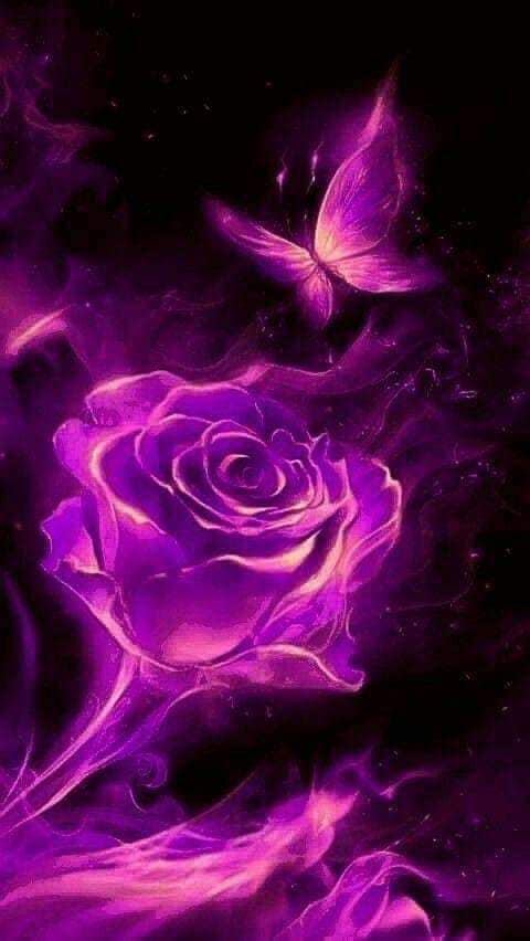 Butterfly Love Good Night Sweet Dreams Have A Blessed