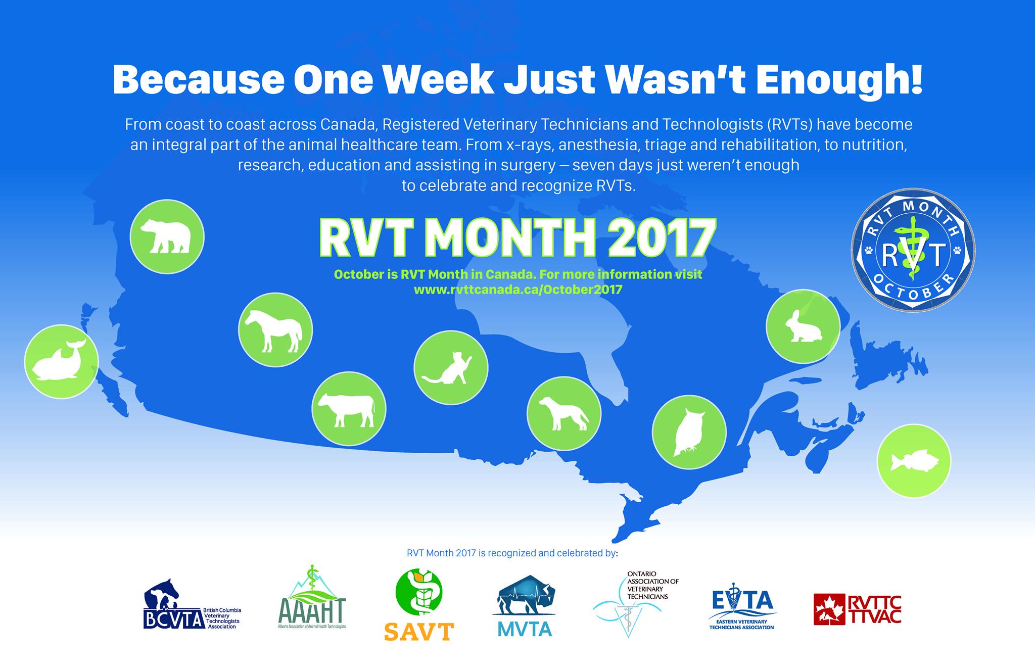 It's... - Ontario Association of Veterinary Technicians - OAVT