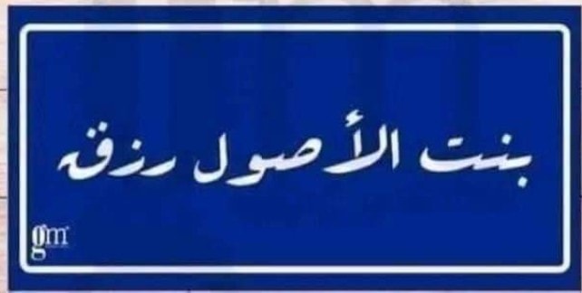 دسوق ميديا - 