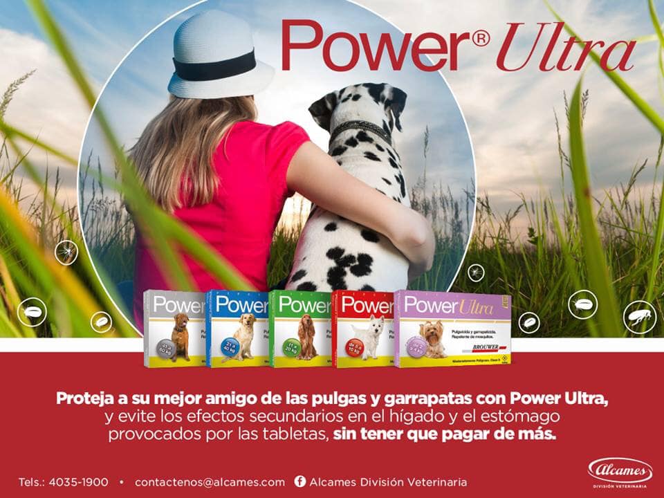 Para prevenir y eliminar... - Alcames División Veterinaria