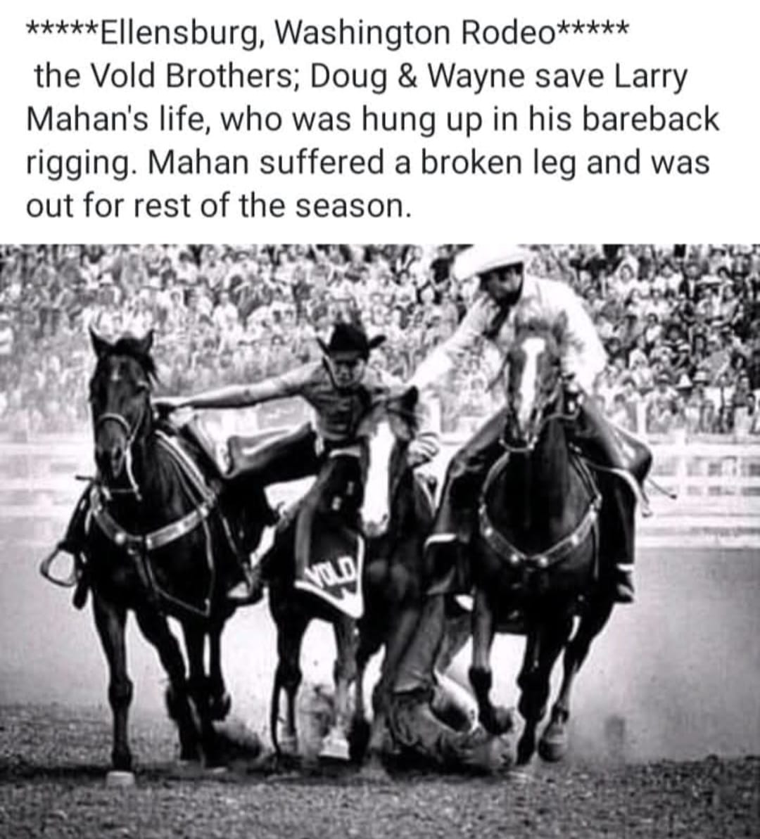 Tell Me a RODEO STORY | Facebook