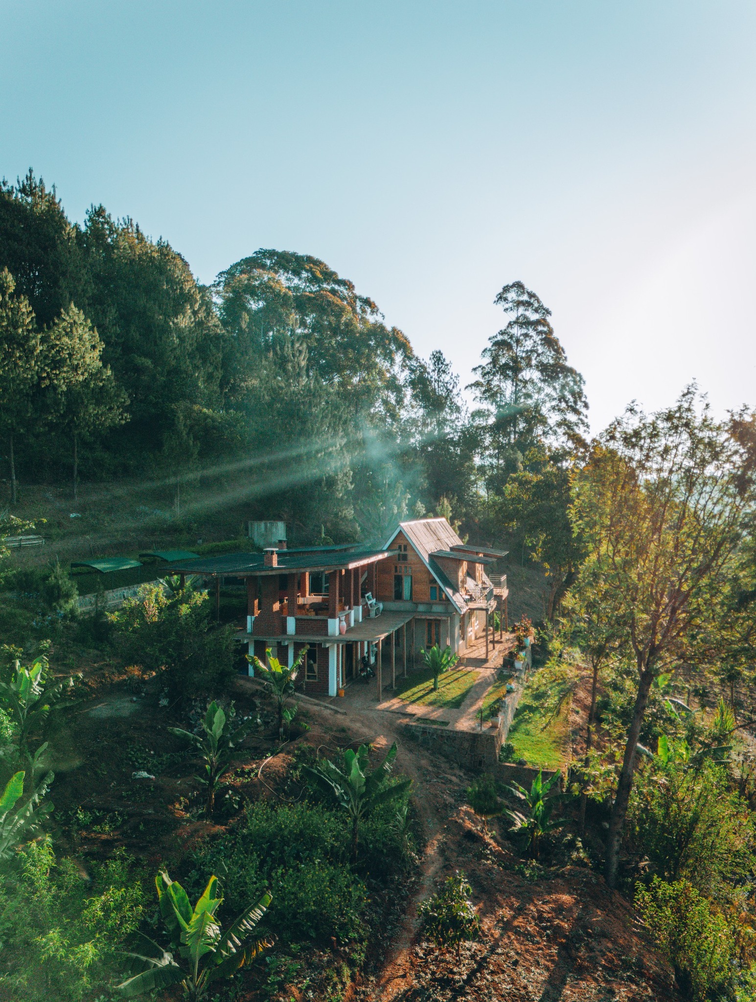 Chameleon Eco Farm