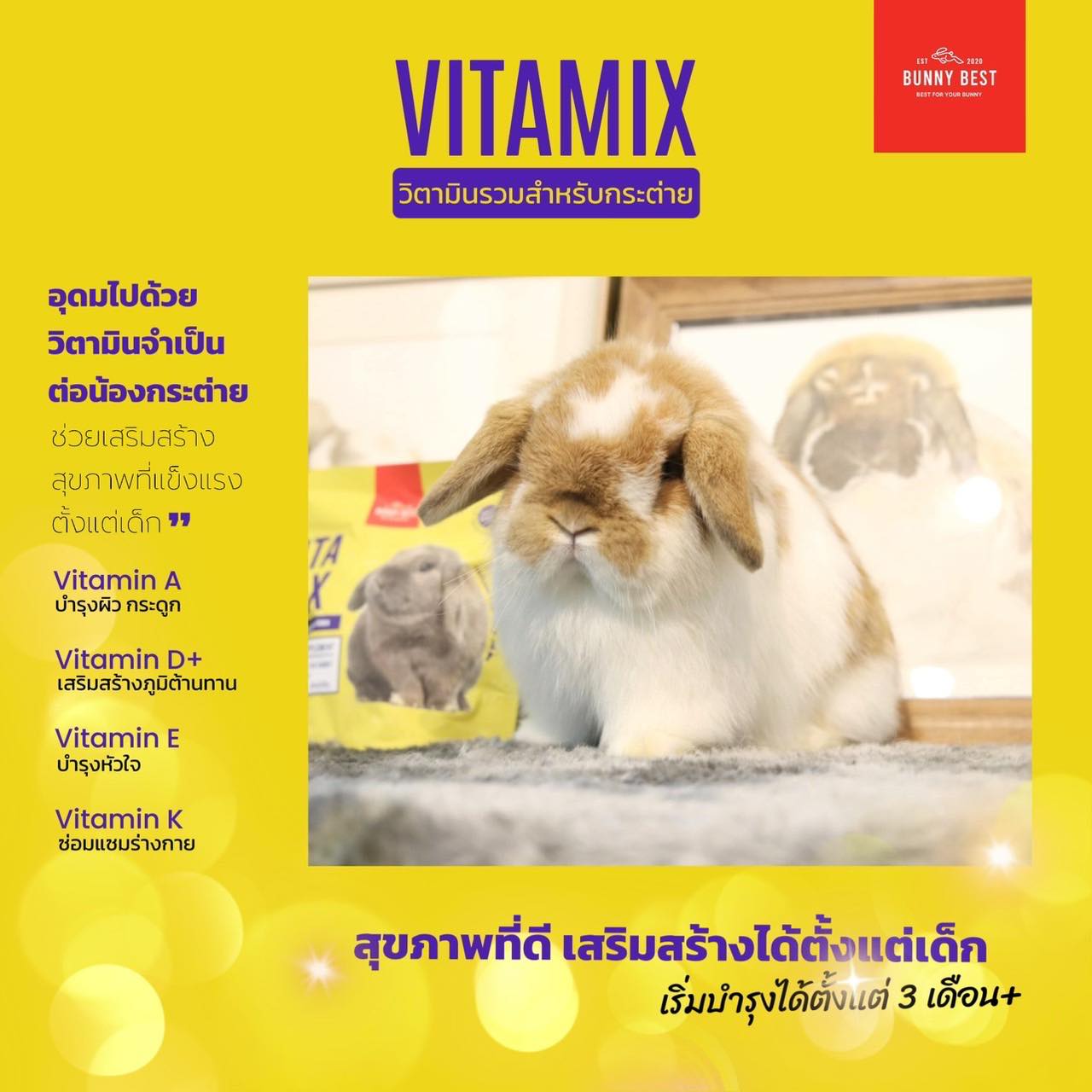 :: VITAMIX ::... - BunnyBest.Official