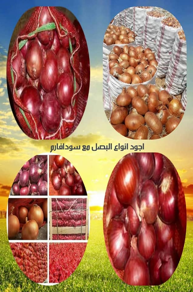 منتجات السودان الزراعية المنتج Sudafarm سودافارم Facebook