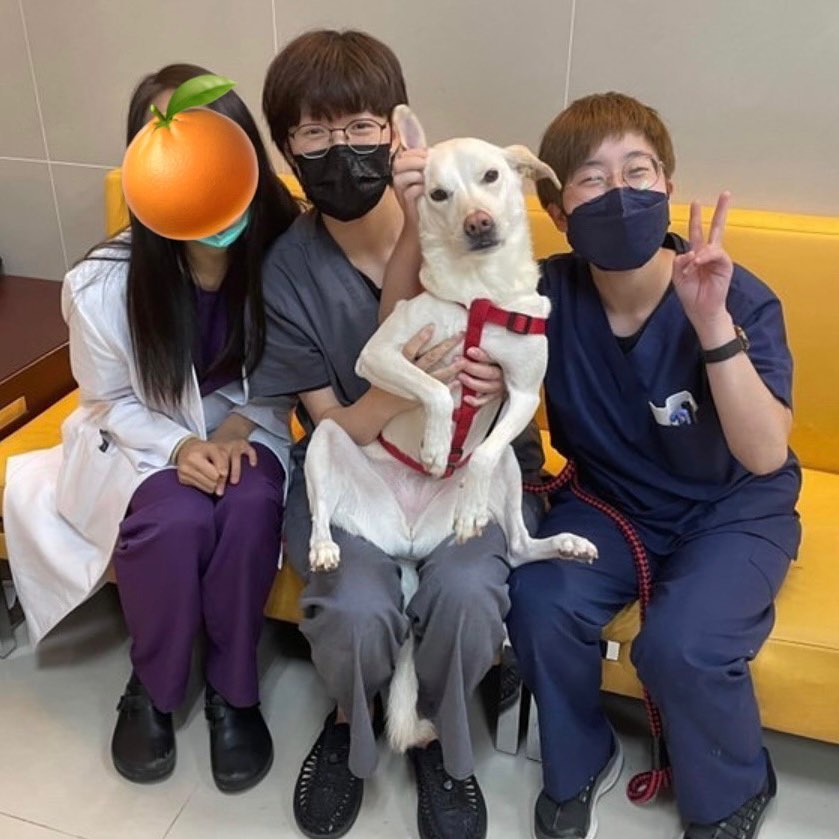 國立台灣大學生物資源暨農學院附設動物醫院 Taipei Taiwan Local Business Facebook