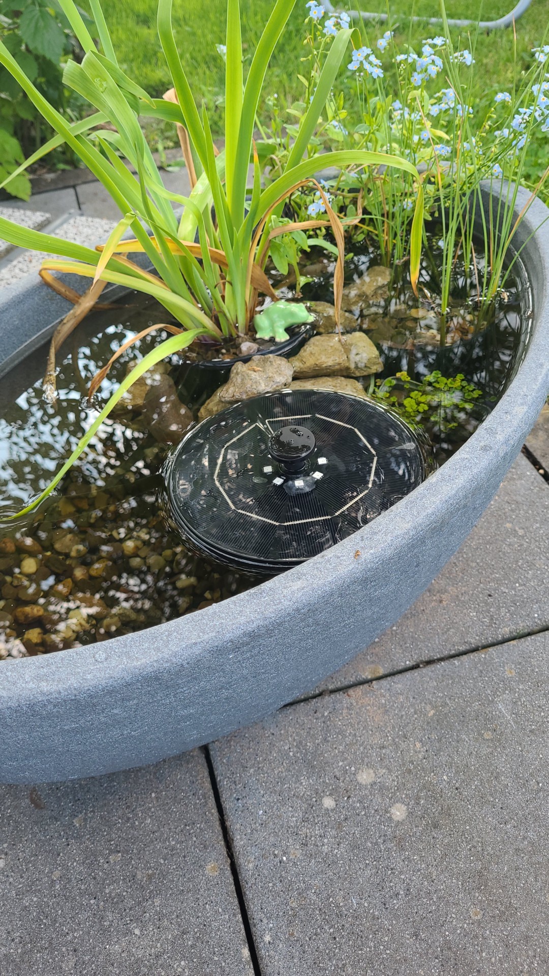 Hallo Ihr Lieben, die Solarpumpe vom Action funktioniert nicht mehr (was ein Wunder 😄). Ich habe sie schon auseinander gebaut, gereinigt, aber sie will nicht mehr. Ersatz muss also her. Habt Ihr