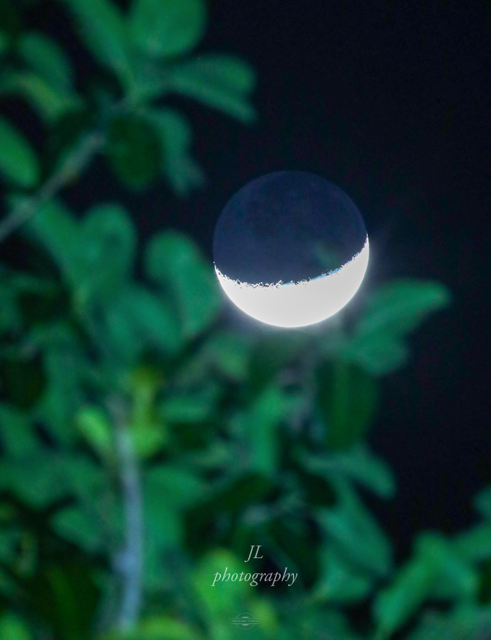 The moon watches quietly while dreams learn to swing. 🌙🖤