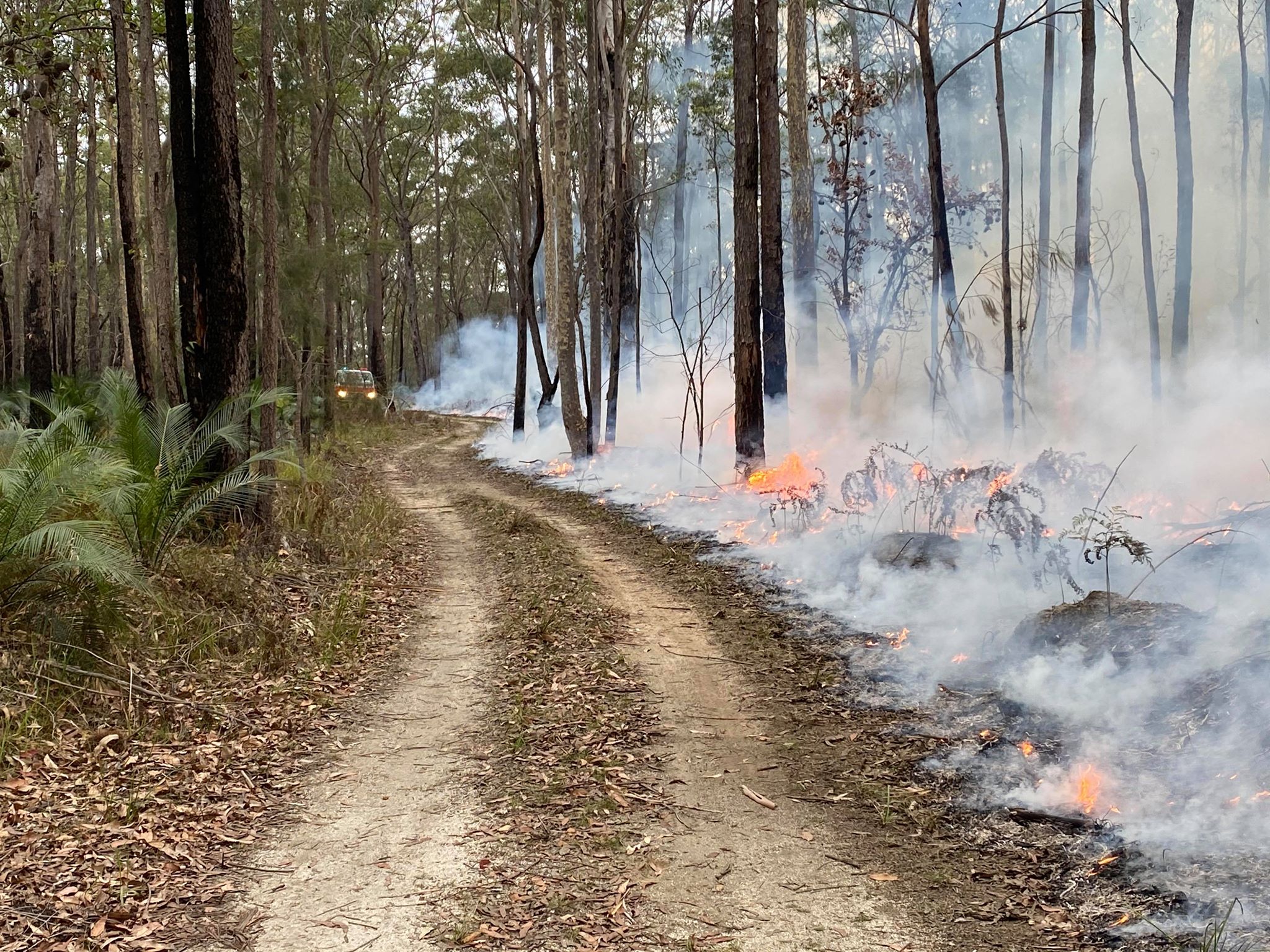 🚒Update on the Riverina Strike... - NSW RFS - Riverina Zone | Facebook