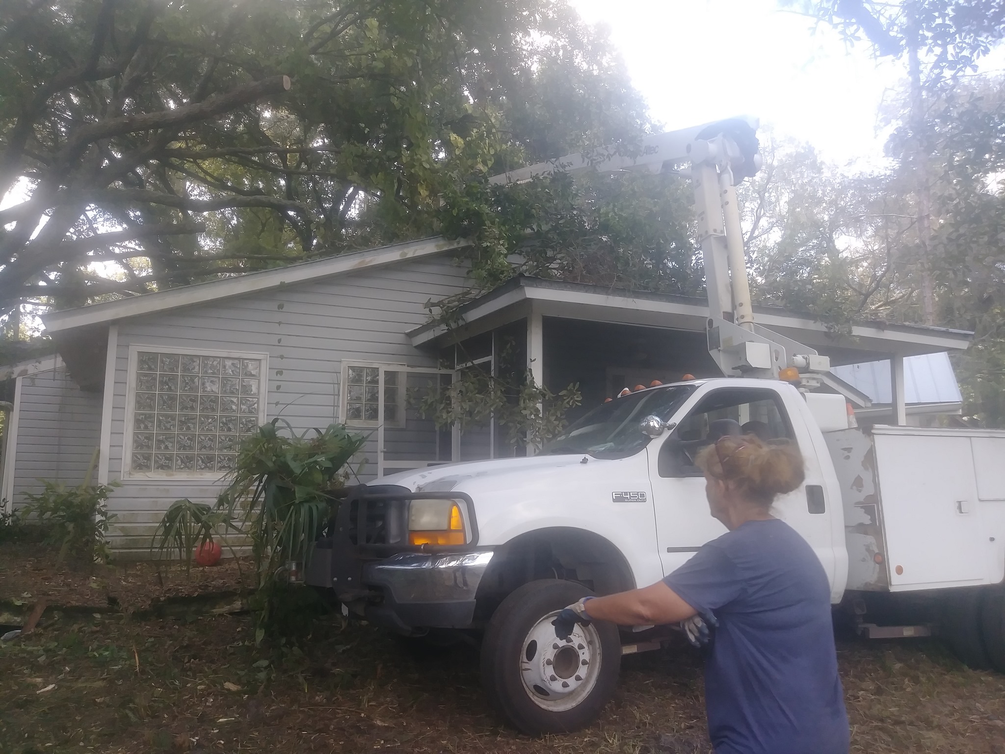 USA Lawn And Tree Service | Plant City FL