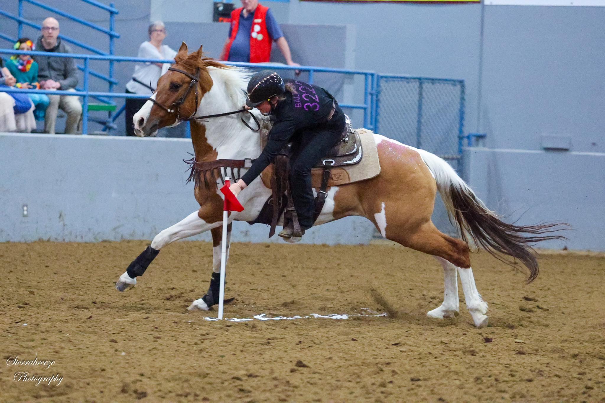 WELL, you might be from Shelton if... | Is there any interest in a 4-H ...
