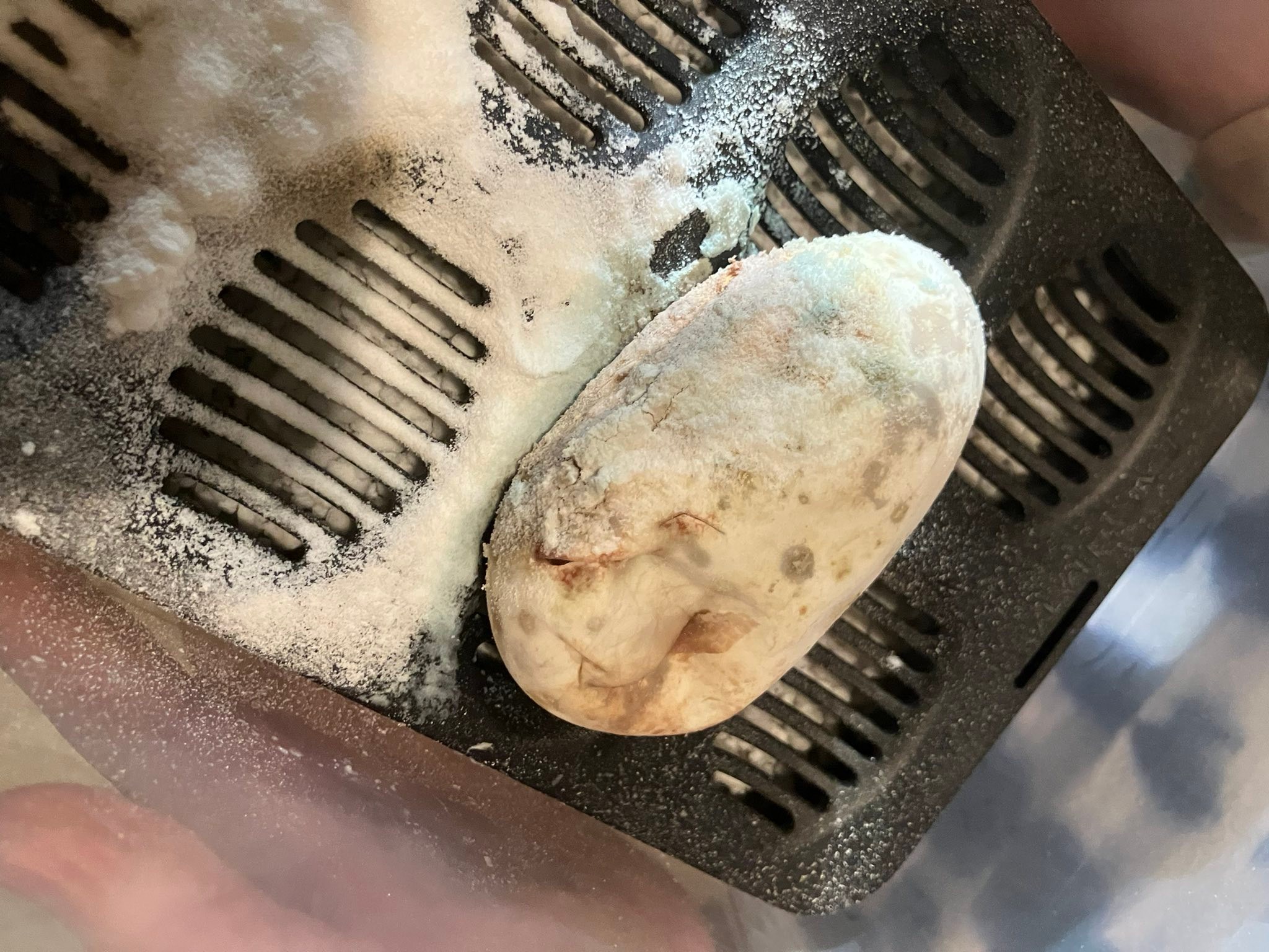 What morph is this calico spider pastel Mohave gravel?