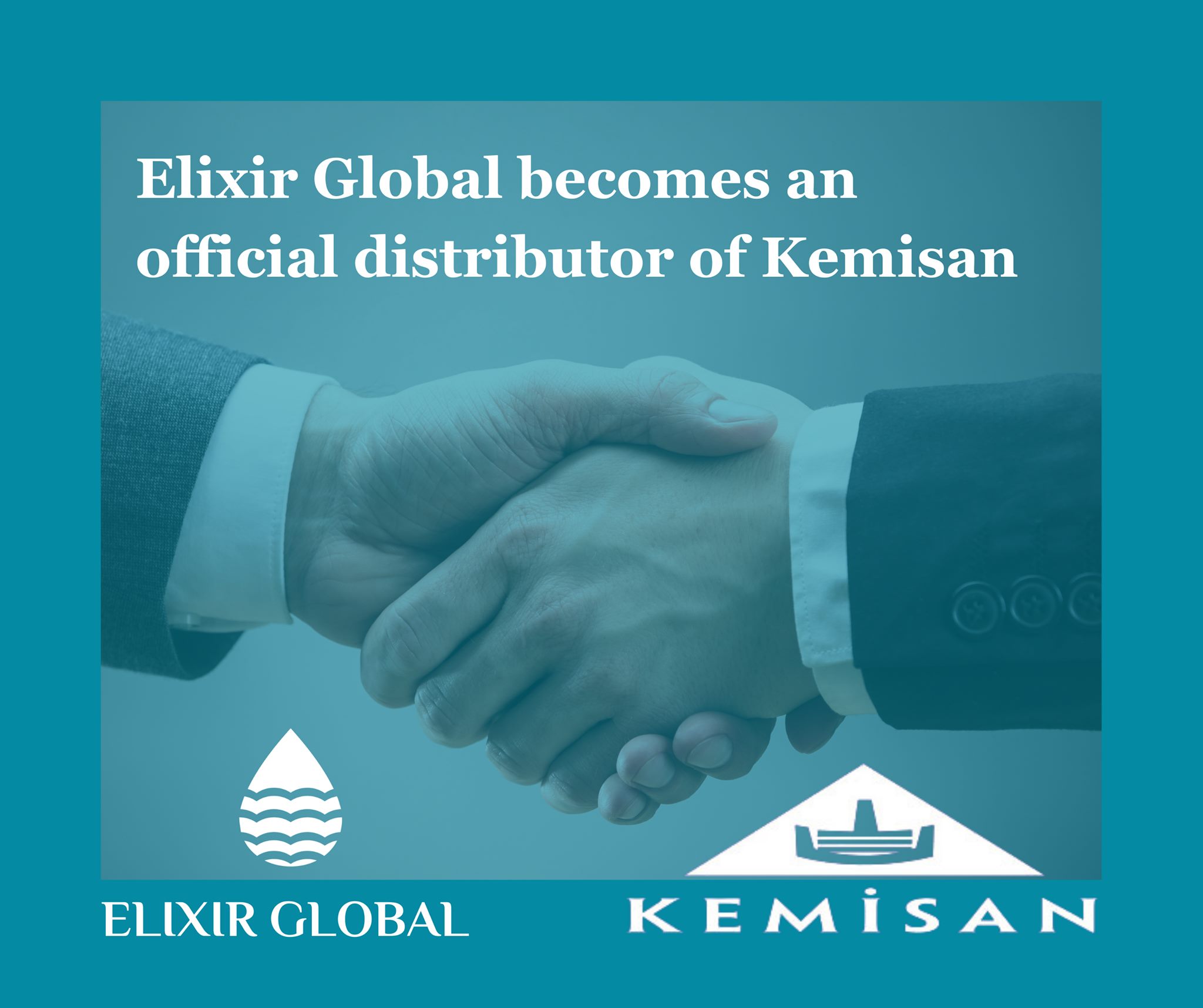 Elixir Global LLC | Tbilisi