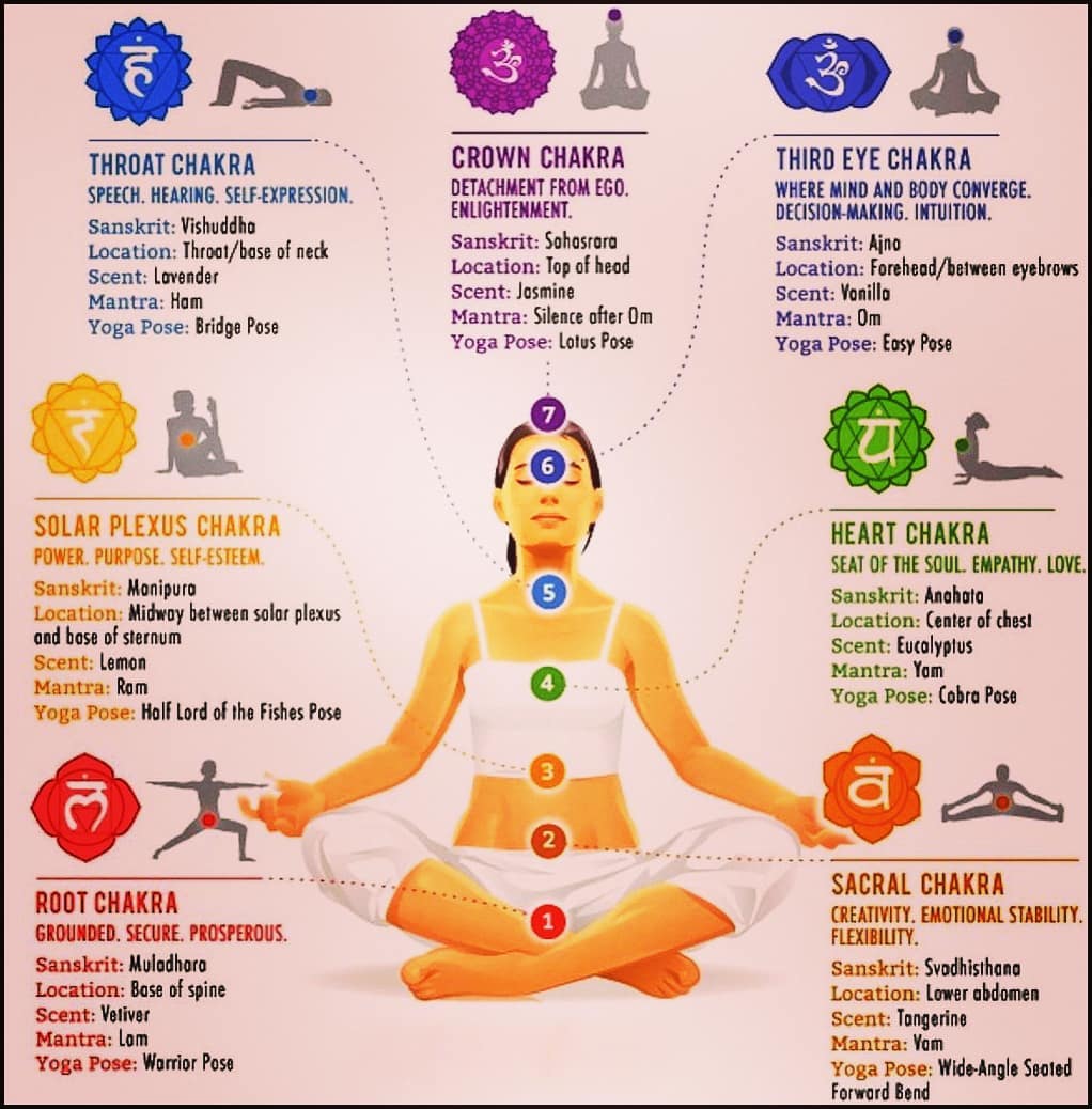 TheChakras.org - Learn more in THE CHAKRA ENERGY DIET at  Facebook