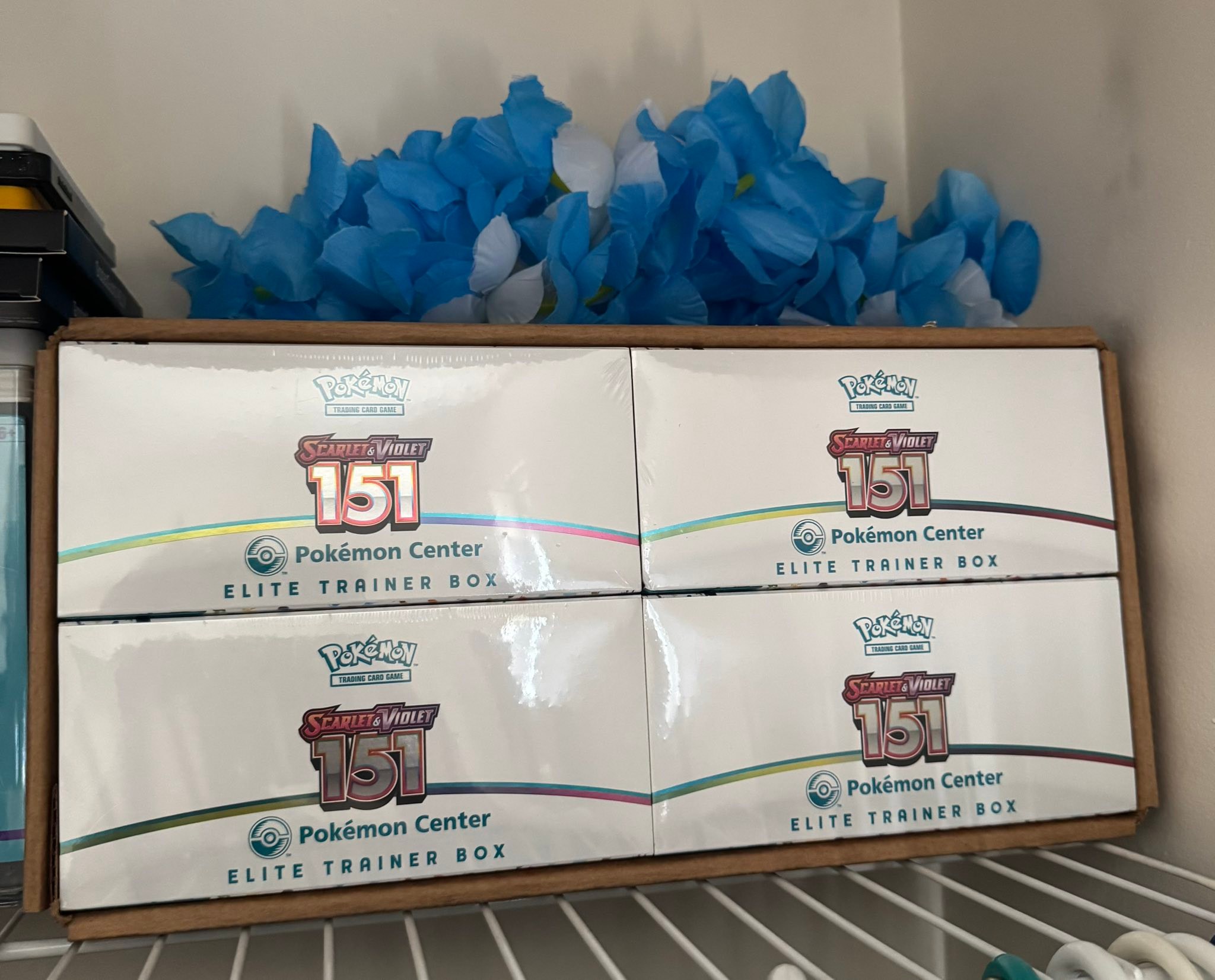 evolving skies booster box pokemon center Bleecker Trading - Pokemon: Sword & Shield - art variants for the extremely popular Eeveelutions Is Pokemon Center's New Exclusive