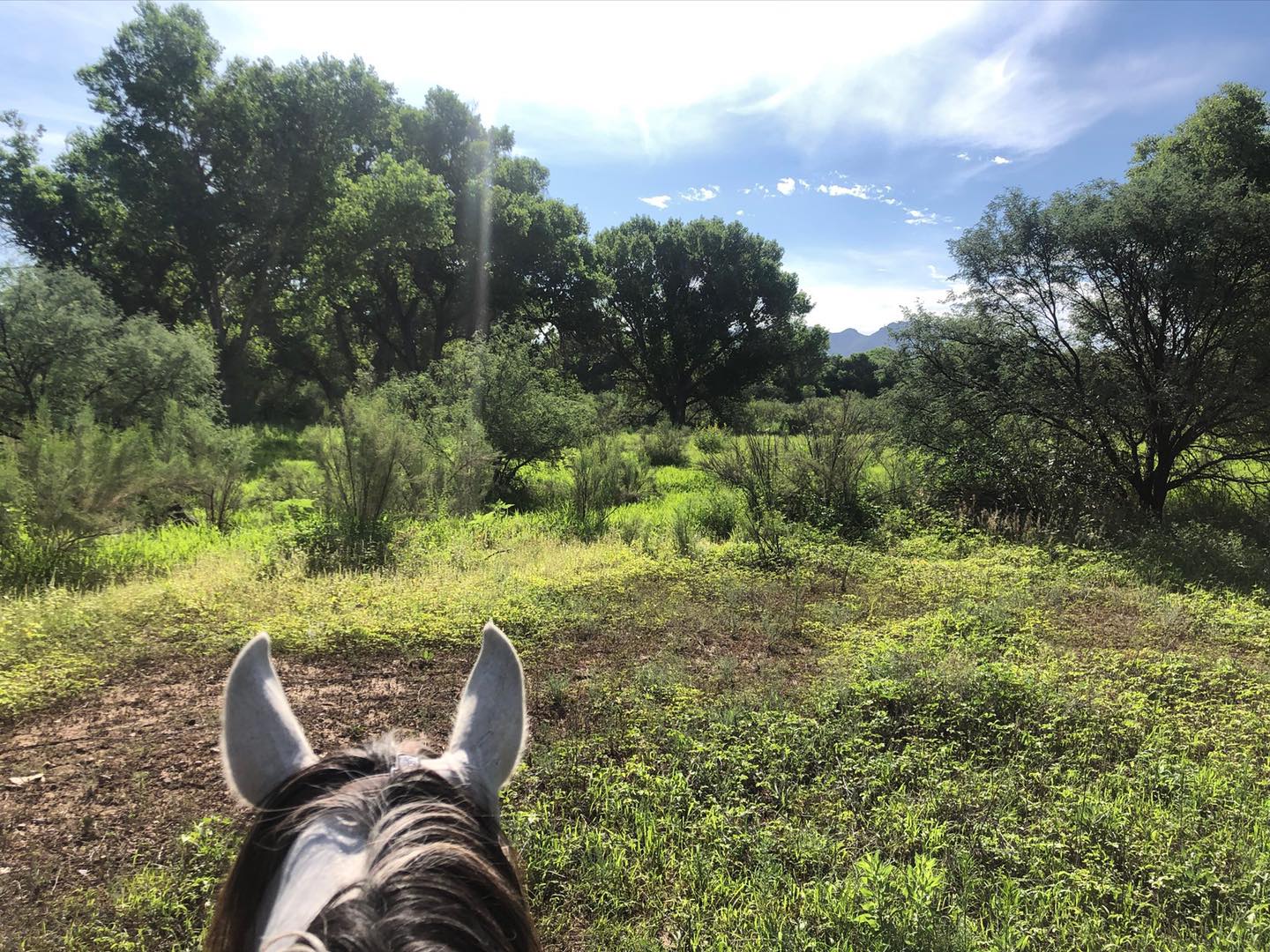 Kenyon Ranch