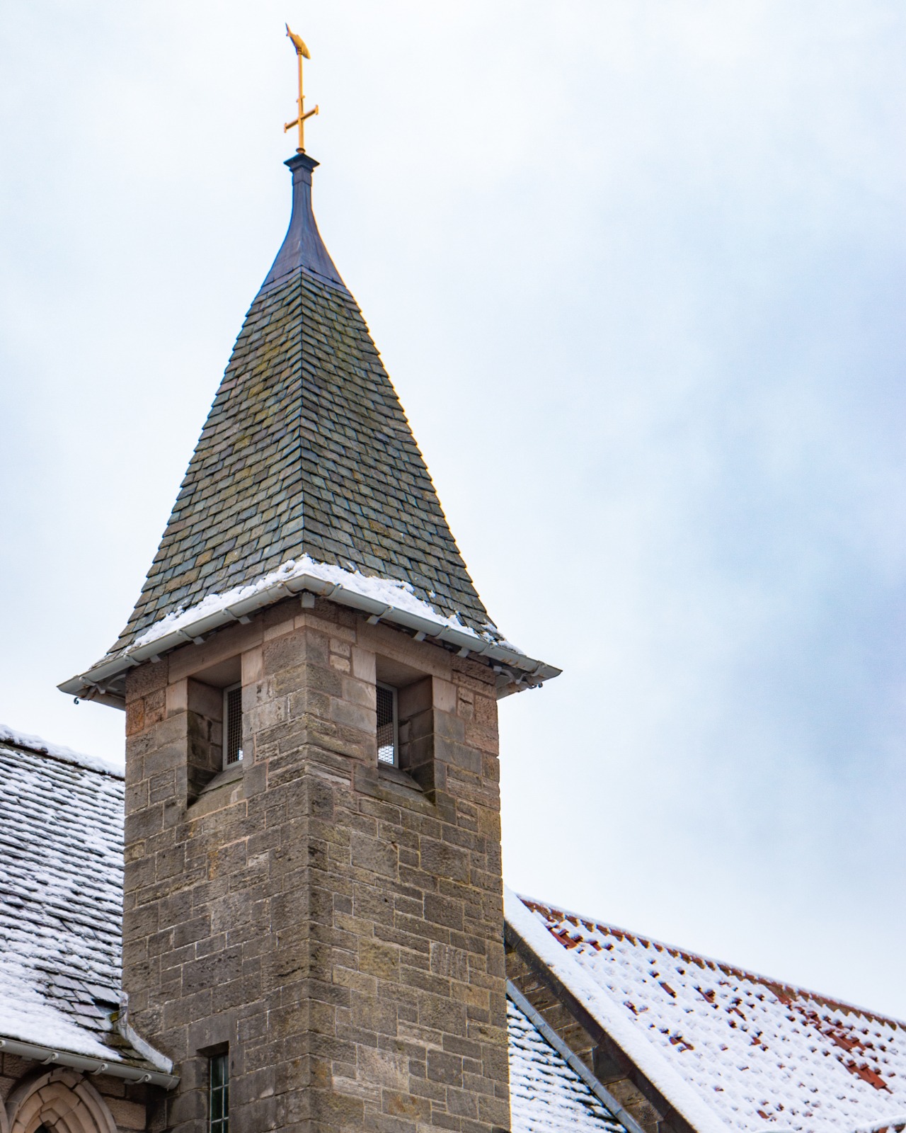 Thomas Rintoul Photography