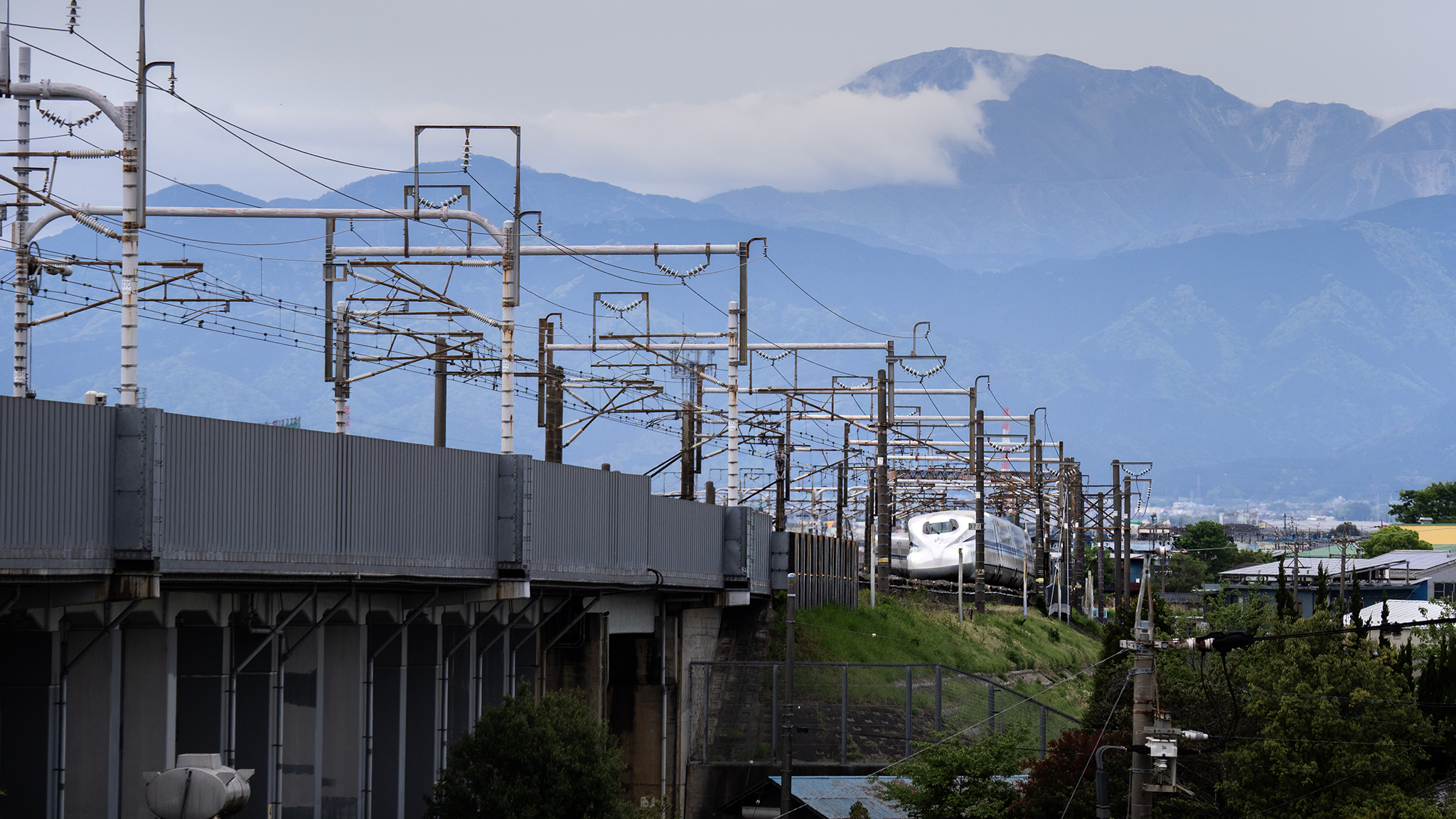 バックの山は伊吹山です。