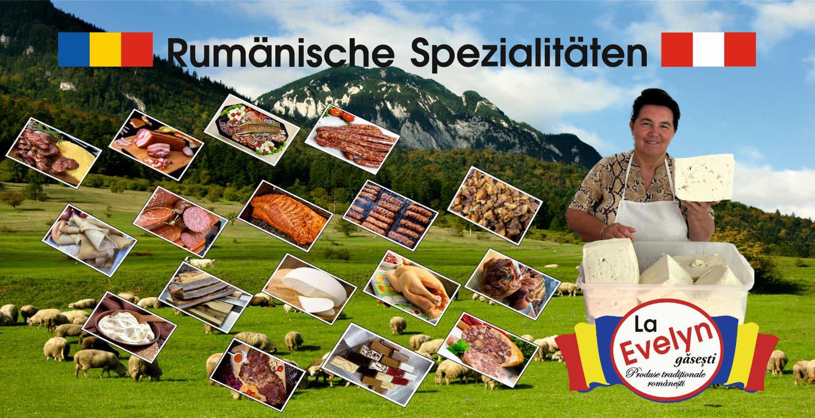 Sitemapcdatahttpswwwkedriinfomagazin Romanesc Augsburgnull