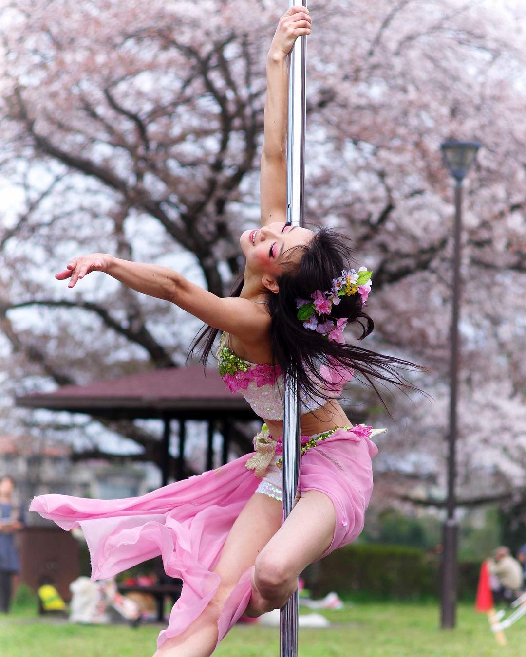 今年は桜を Street Pole Dance Artist Meriko ストリートポールダンサー めりこ Facebook