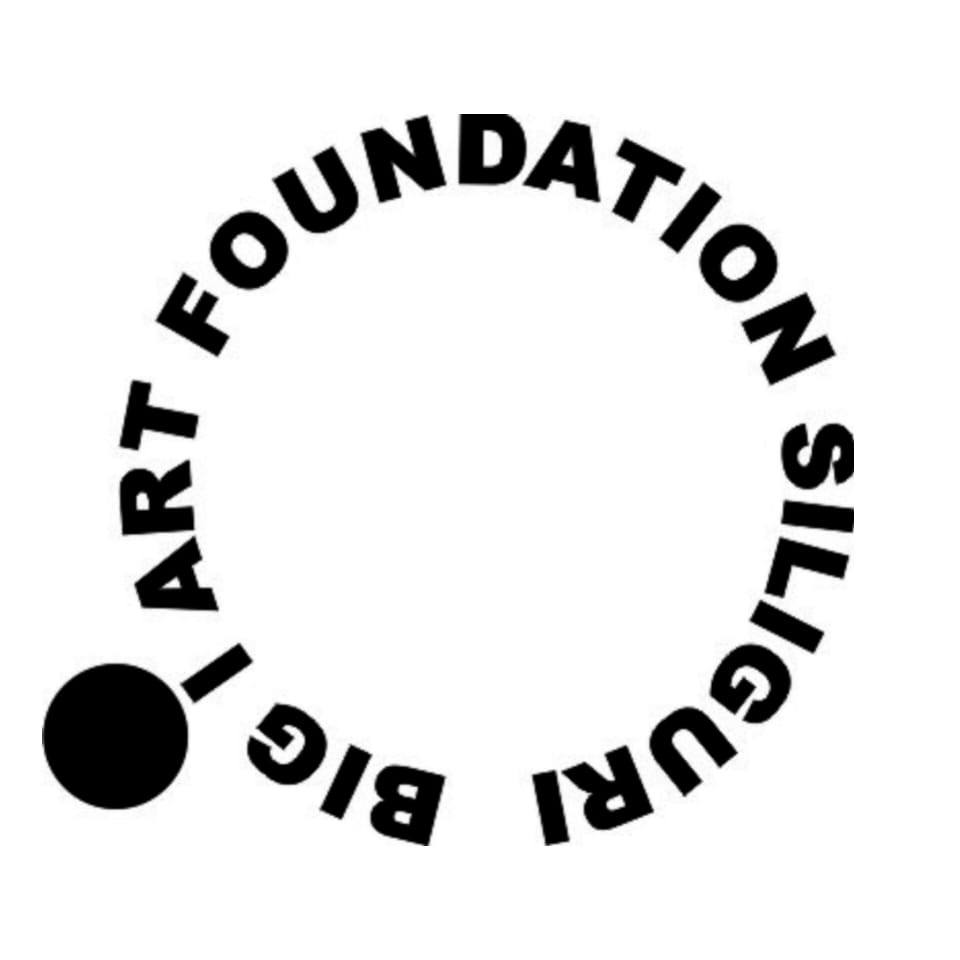 big-i-art-foundation-siliguri-siliguri