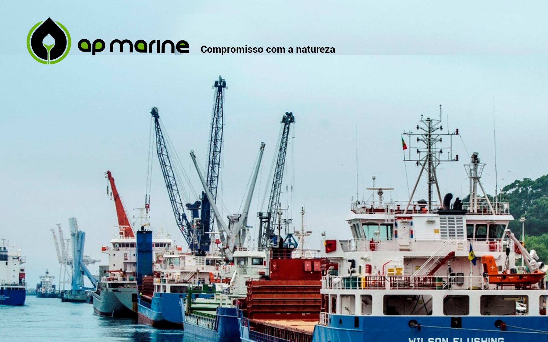 ap-marine-ltda-macap-ap