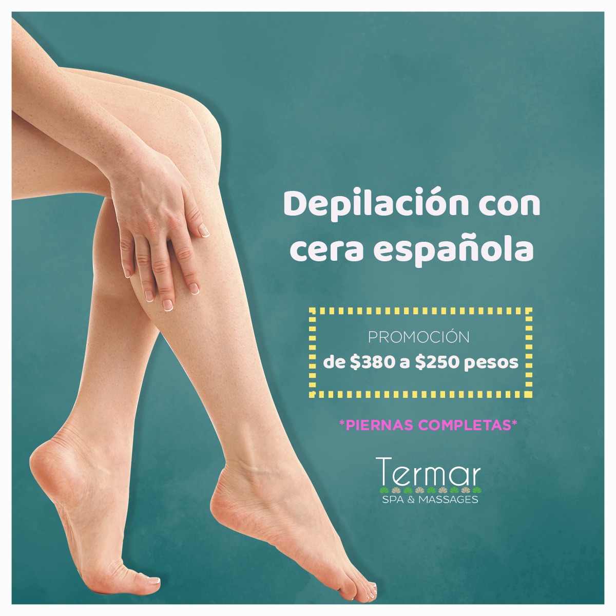 Termar - NUEVO SERVICIO PARA USTEDES Ya puedes... | Facebook