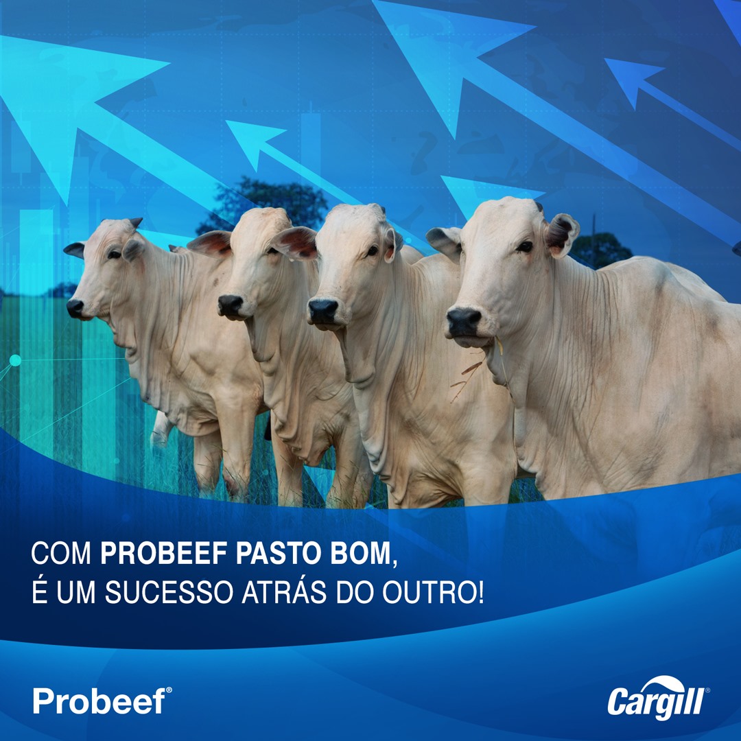 Probeef - Para estas águas, aposte na combinação Pasto... | Facebook