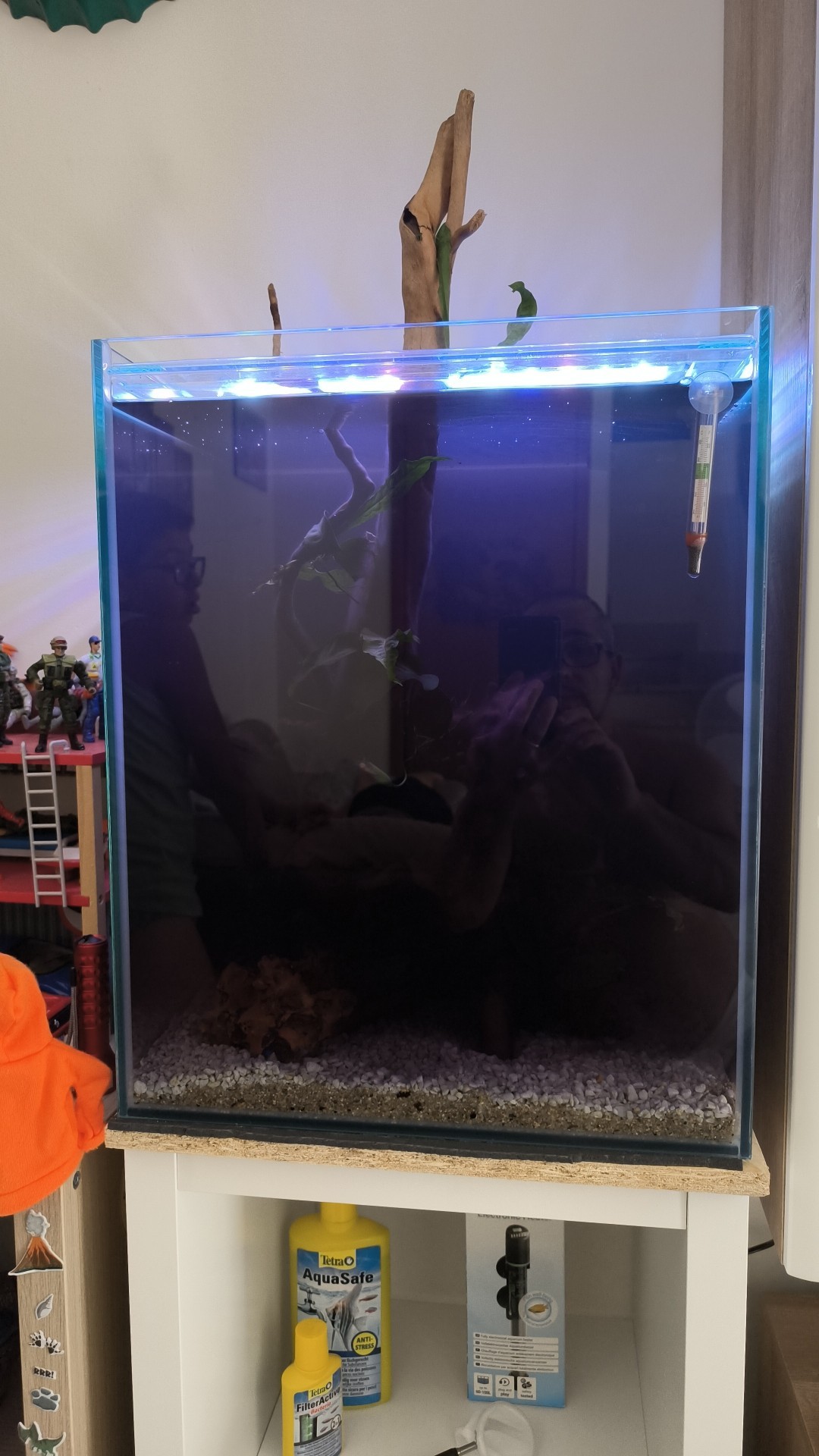 ACQUARIO CHE PASSIONE | Avrei bisogno un consiglio....ho ripreso la ...