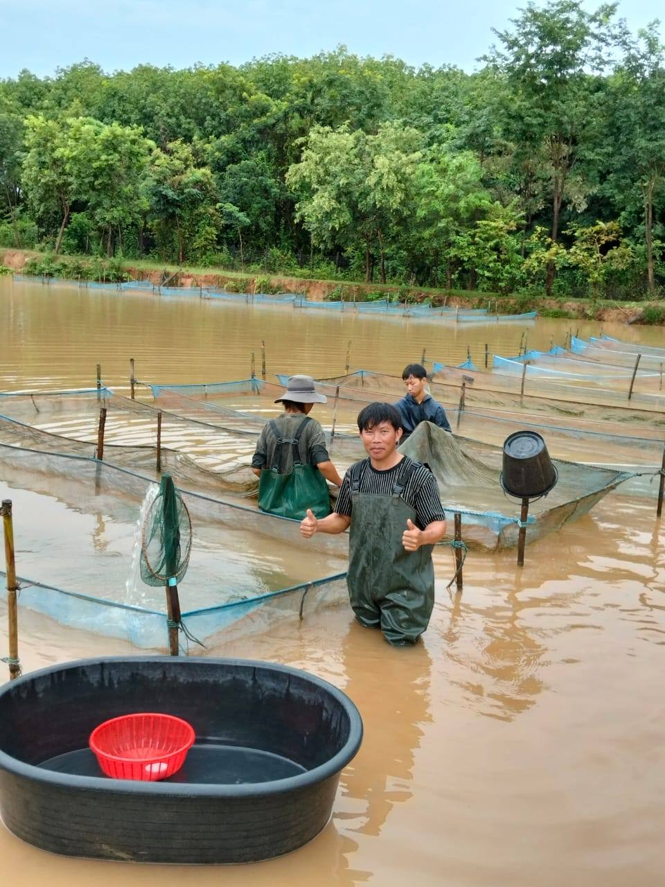 Dao Fish Farm