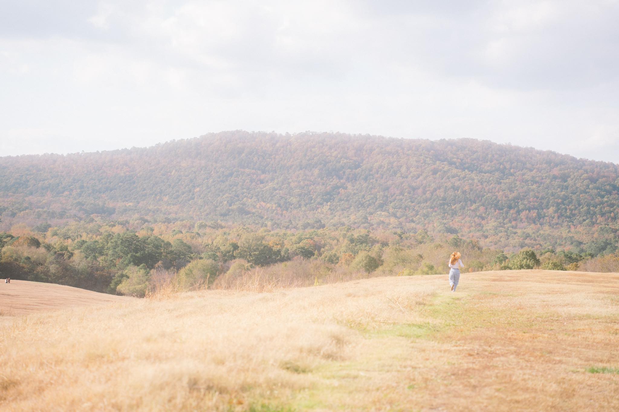 Tyler Rebmann Photography