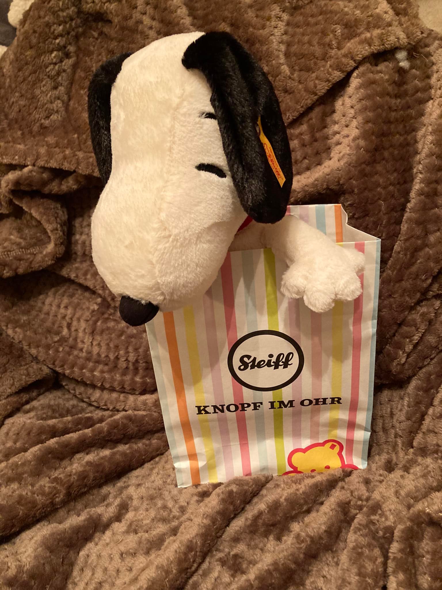 A Snoopy lover's dream, here we have a numbered Steiff Limited