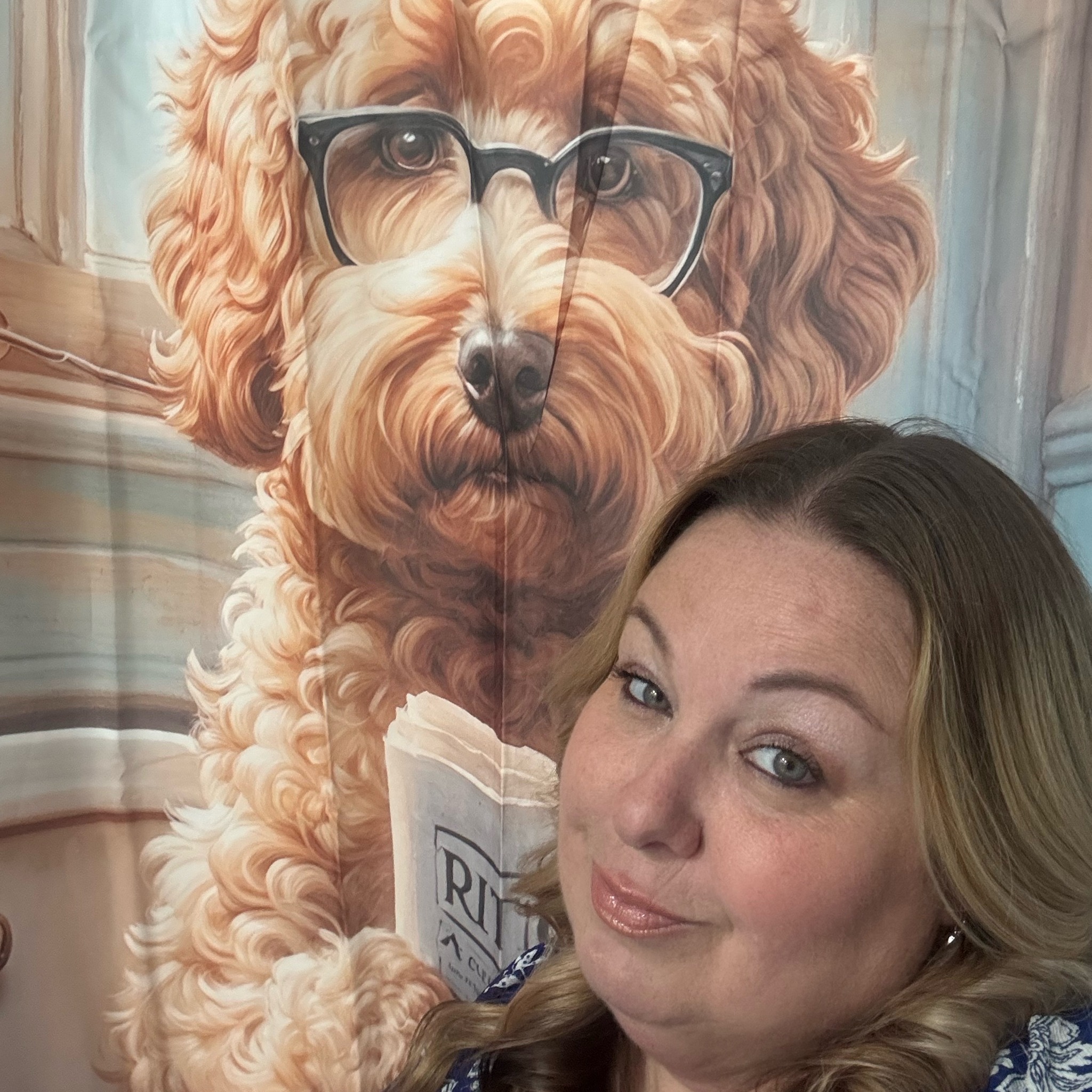 #minigoldendoodle litter box trained ckc spoiled rotten blue eyed ...
