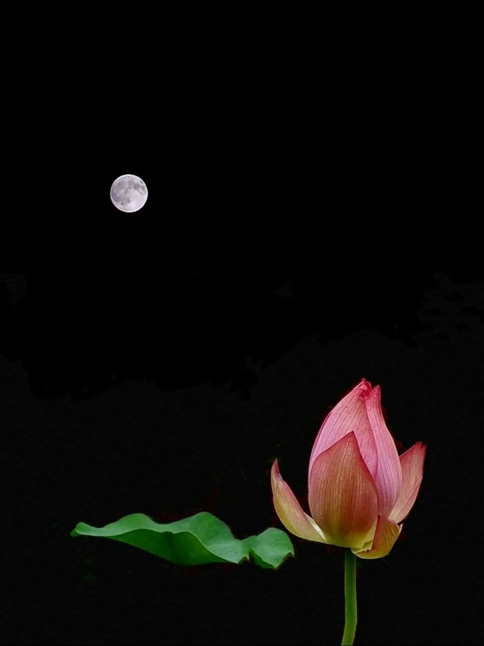 이명우