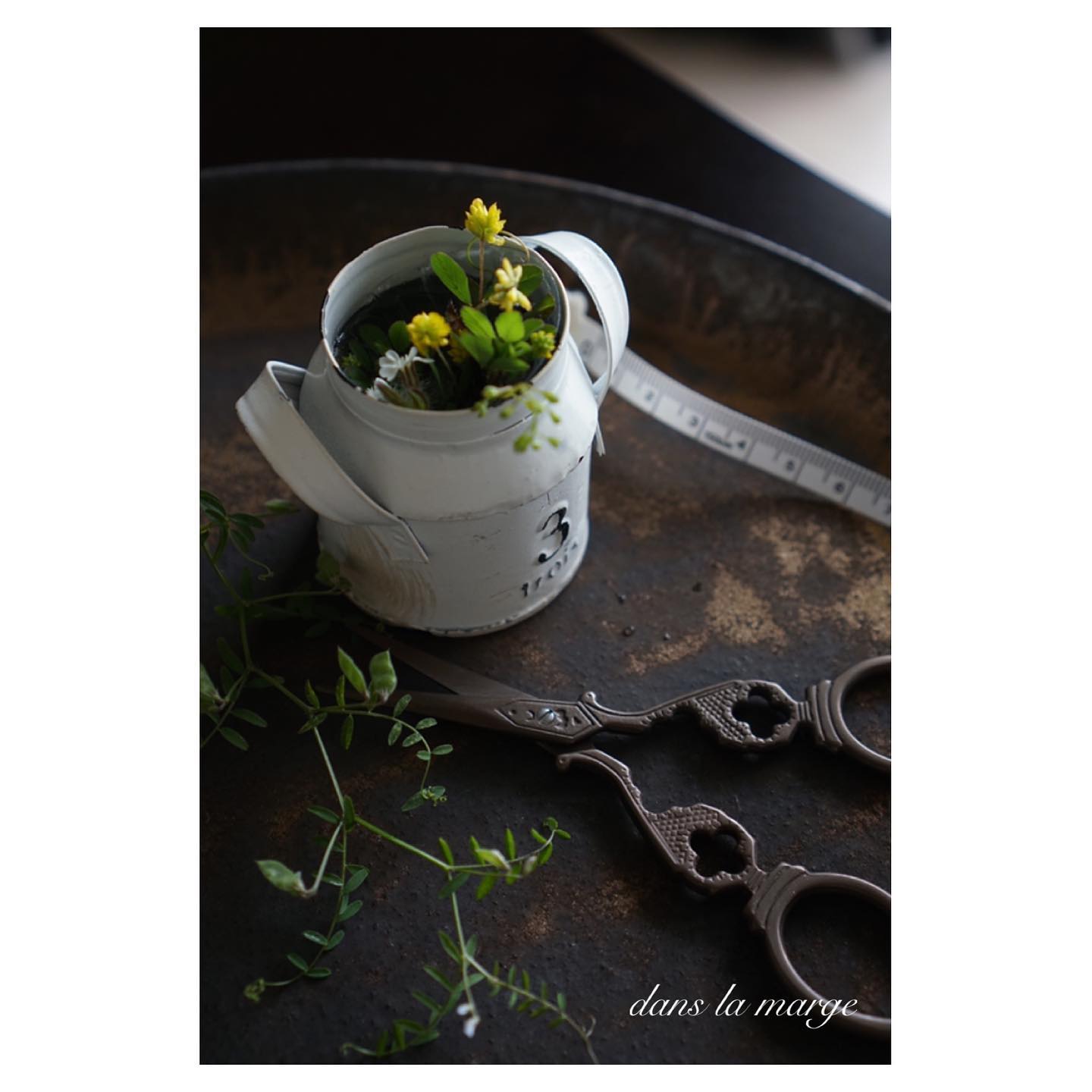 Dans La Marge 前ポストの 4cmの花遊び にエントリーするにあたって 一応規定内かどうか確認しておきました 規定内 真面目な性格 笑 エントリー 秘話 笑 大阪北摂のフラワーサロンdans La Marge アレンジメント フラワーアレンジメント教室 ブーケ 教室 大阪