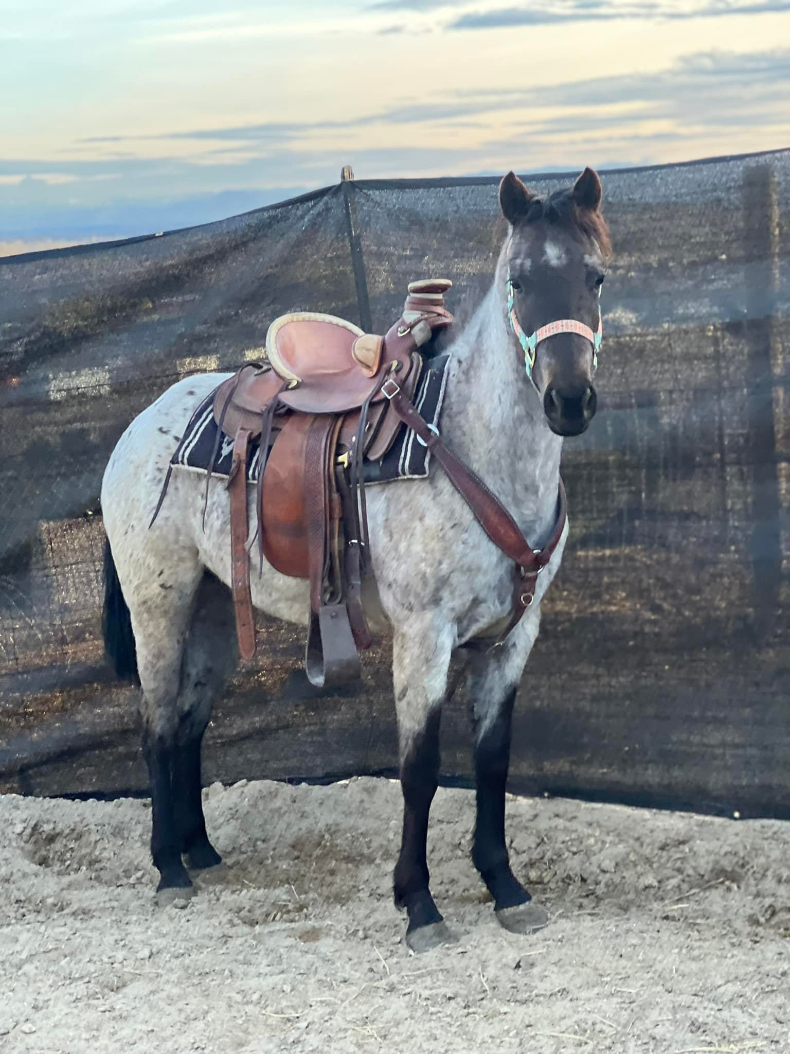 Bootlegger Ranch
