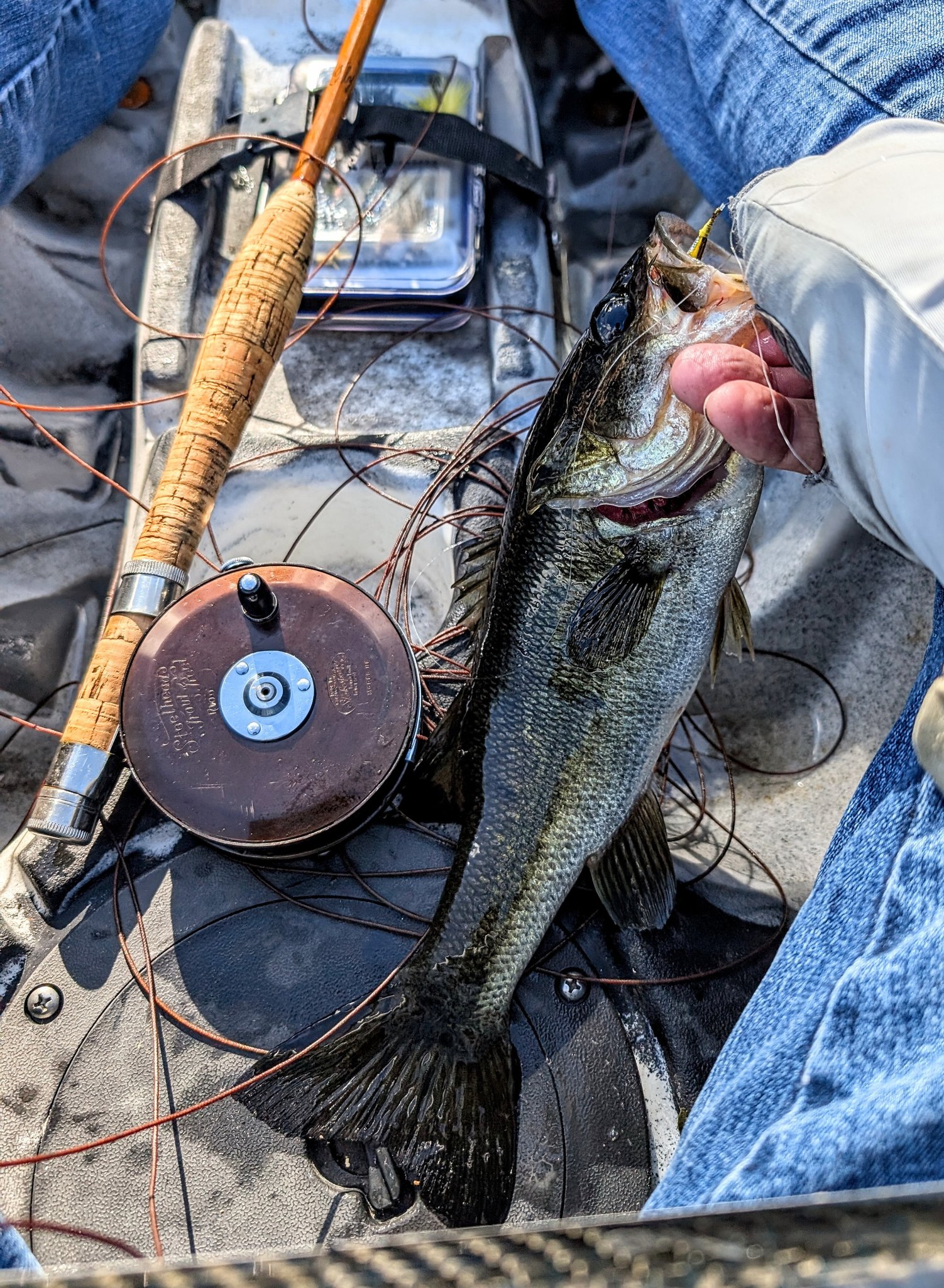 Vintage Asbjørn Hørgard Golden Fly rod test on Spring Creek