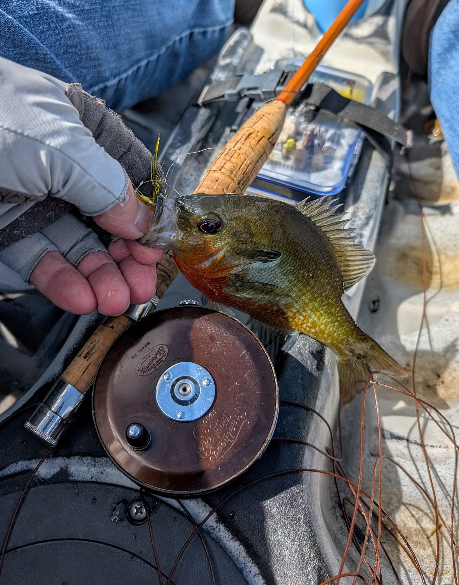 Vintage Asbjørn Hørgard Golden Fly rod test on Spring Creek