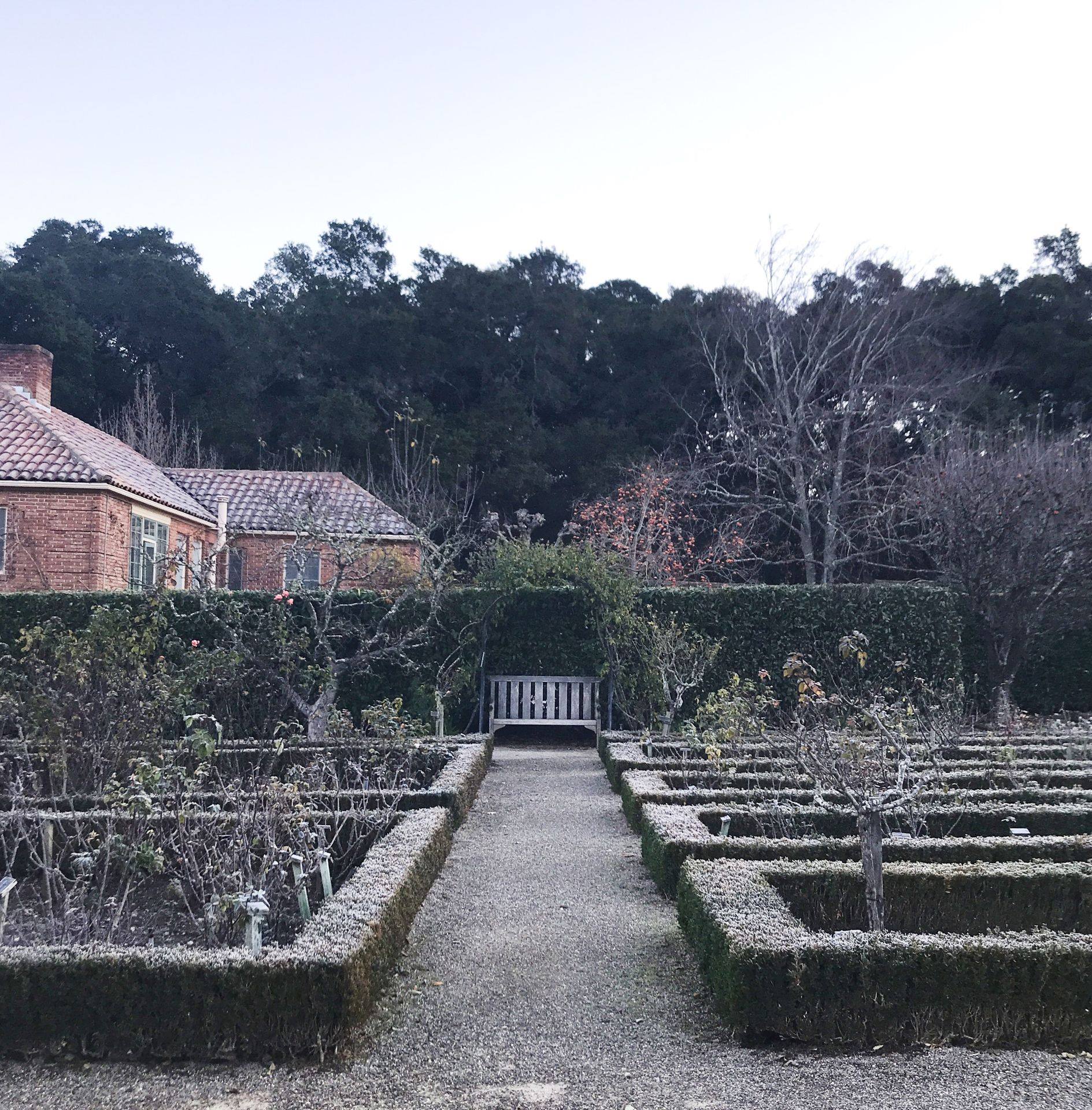 Filoli - Winter has arrived to the Garden! A light frost...