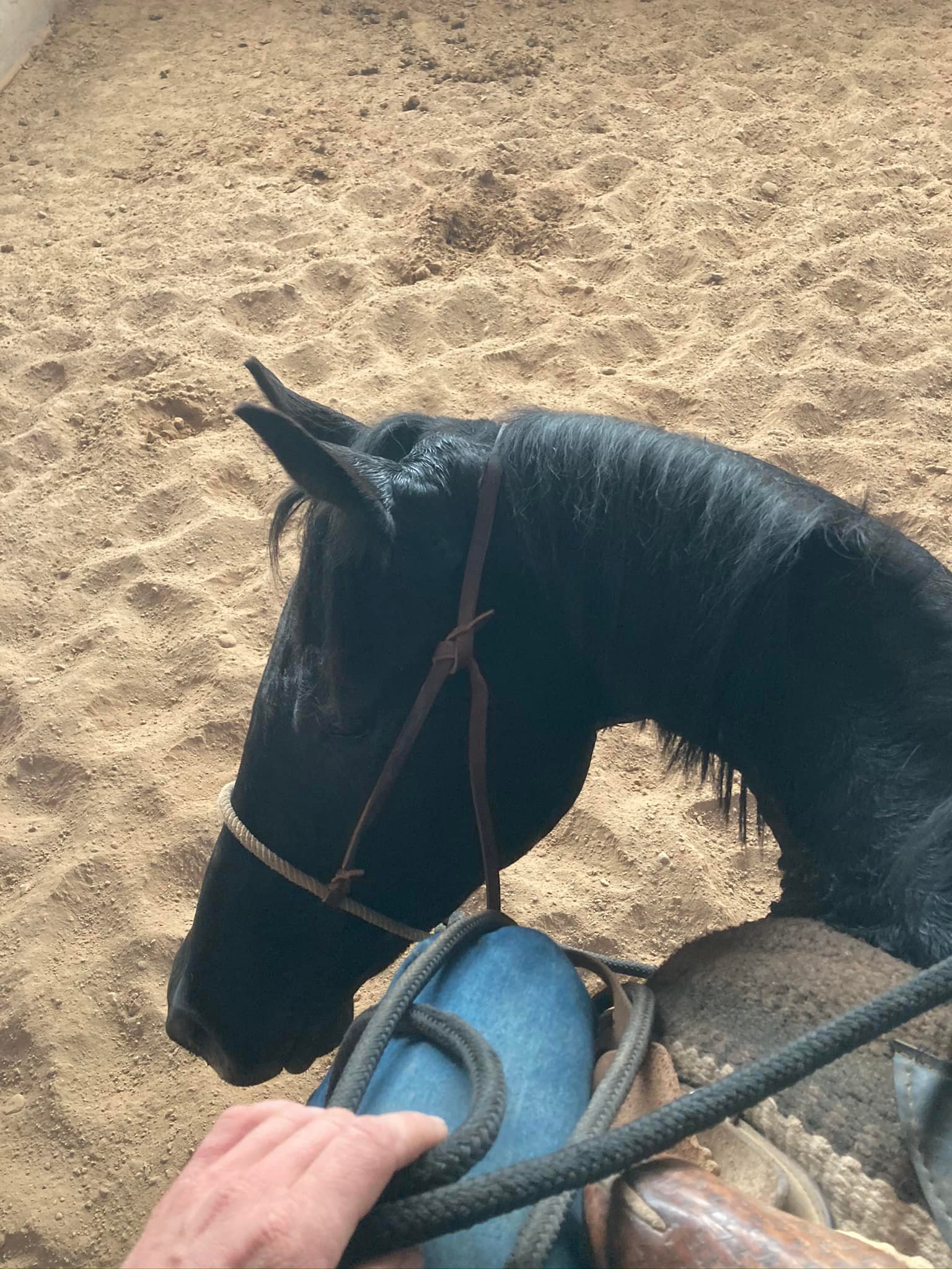Running H Ranch