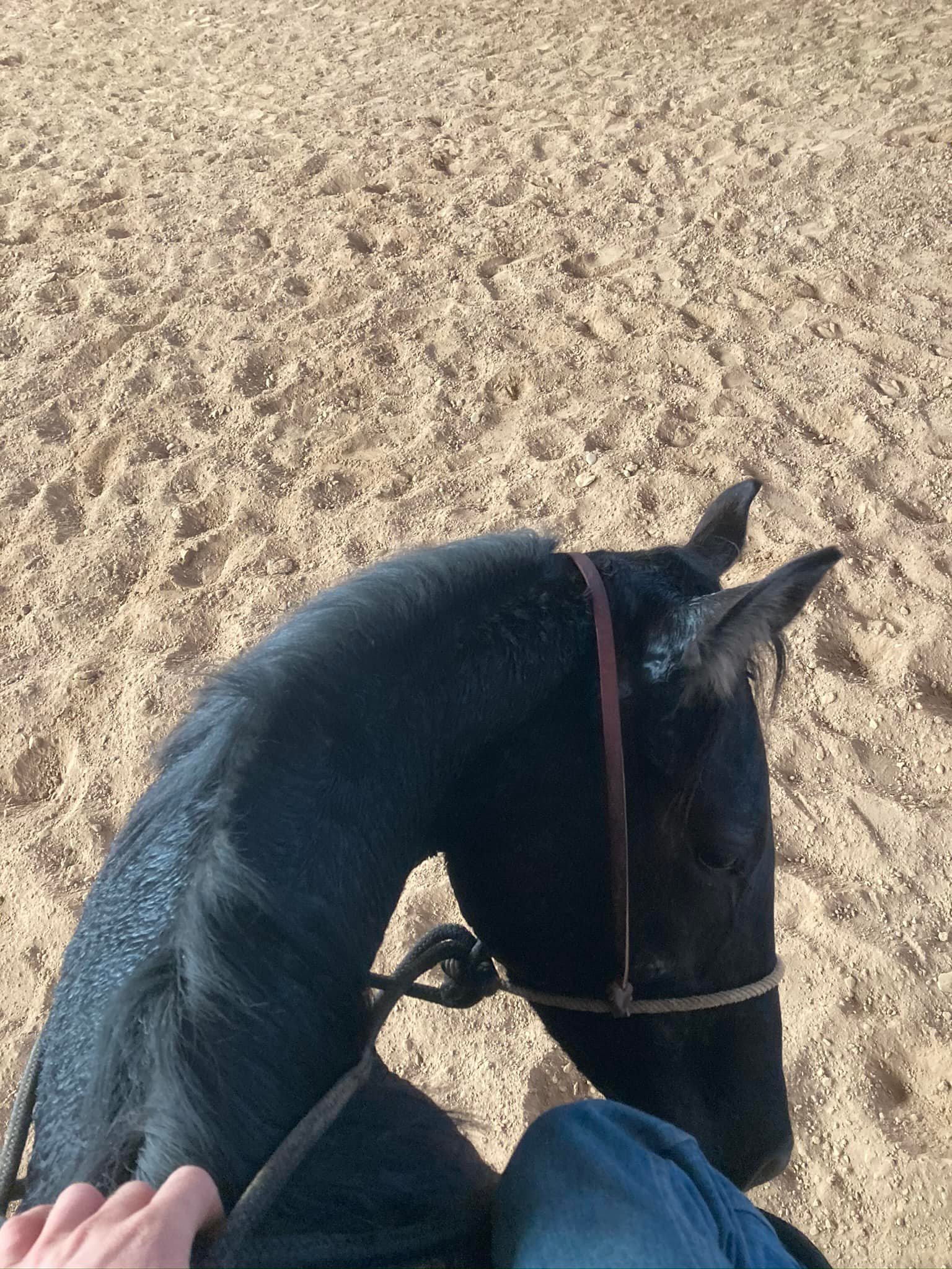 Running H Ranch