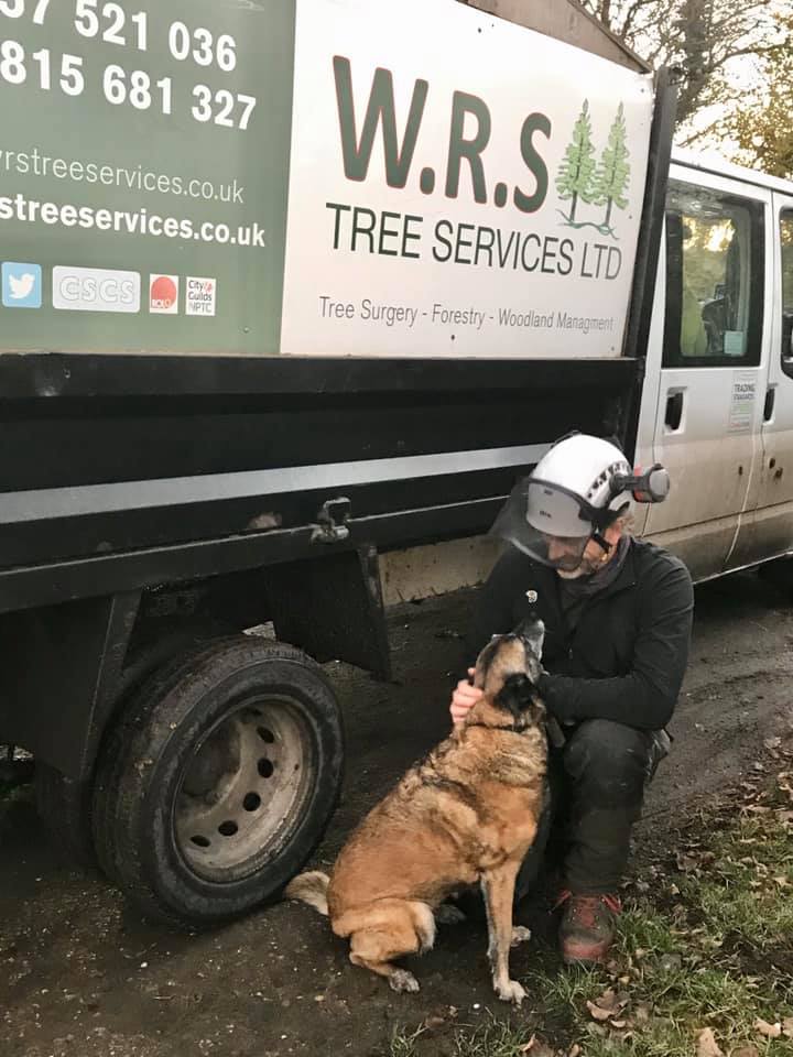 WRS Tree Services Ltd | Nottingham