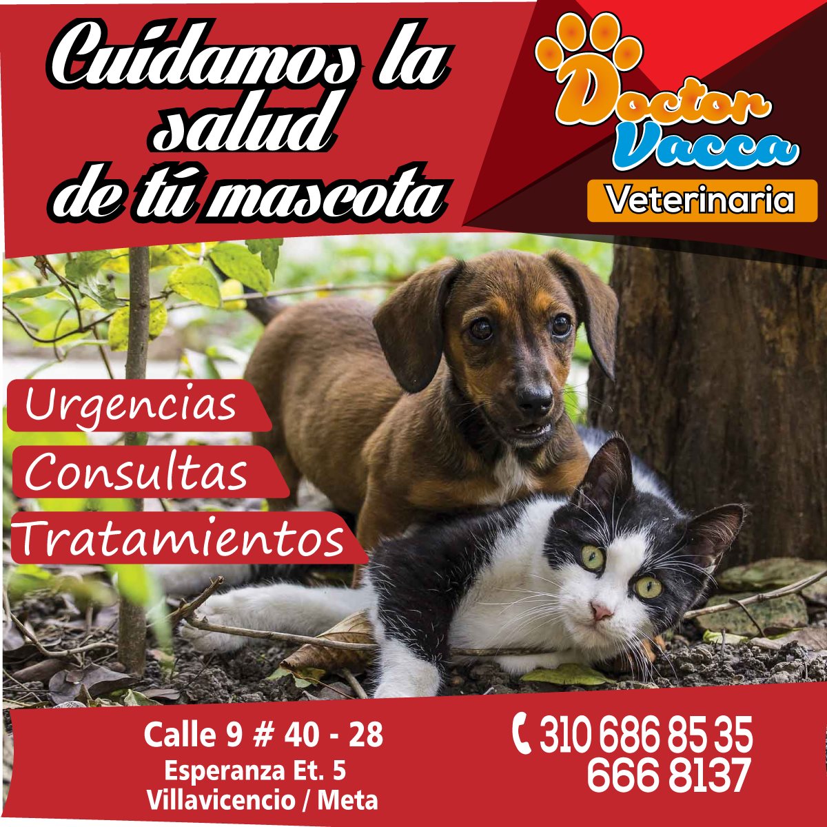 Cuidamos la salud de tu mascota.... Veterinaria Dr. Vacca